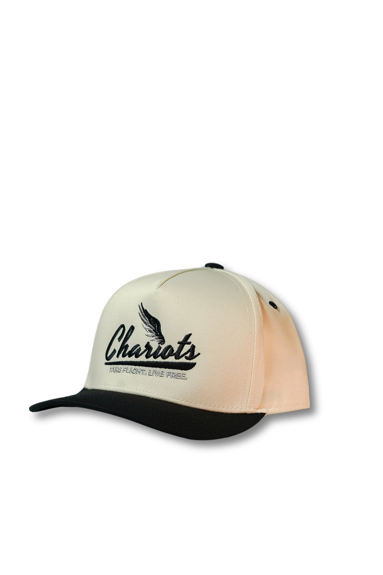 TAKE FLIGHT 5 PANEL HAT (Natural/Black)