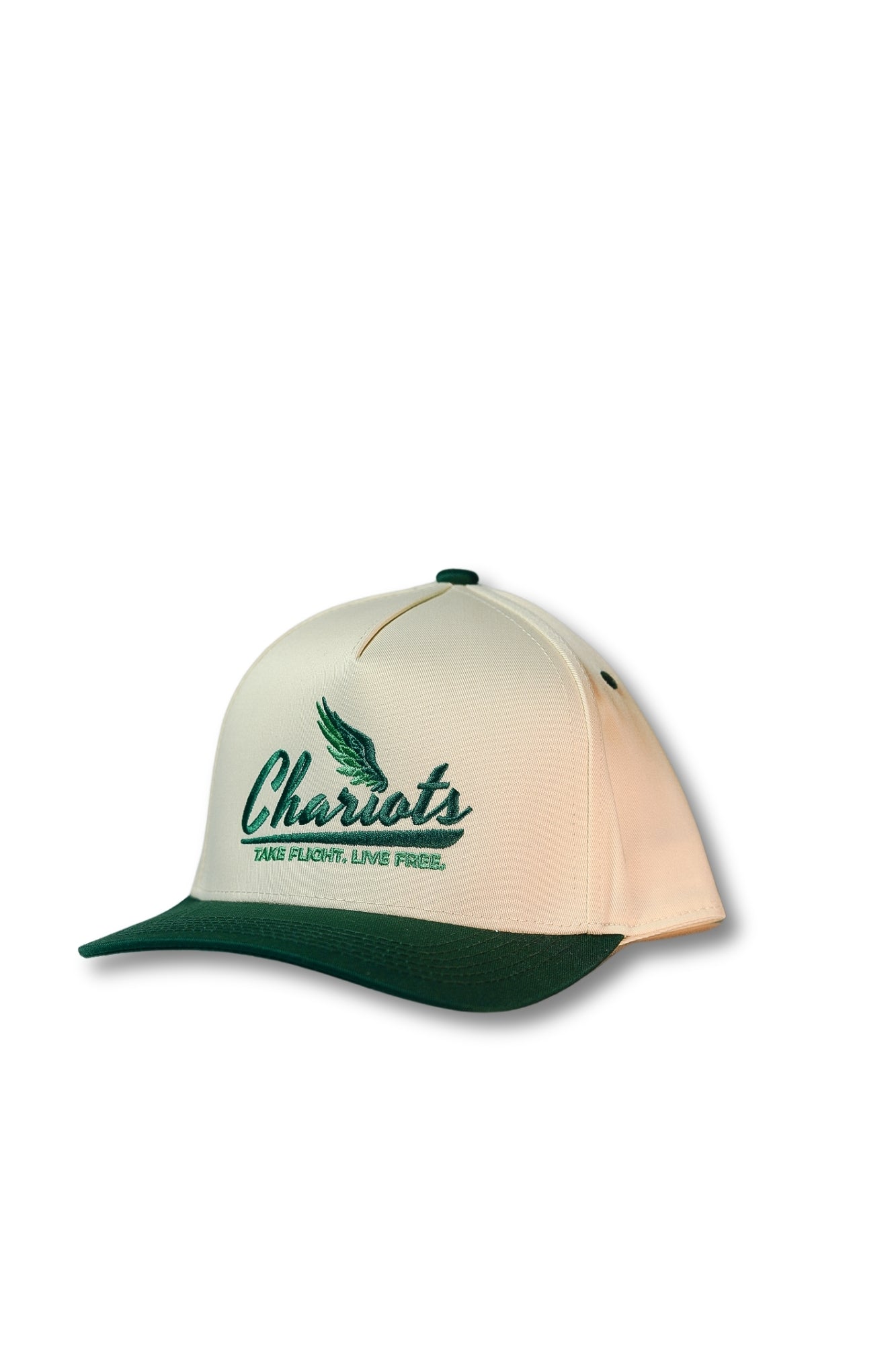 TAKE FLIGHT 5 PANEL HAT (Natural/Dark Green)