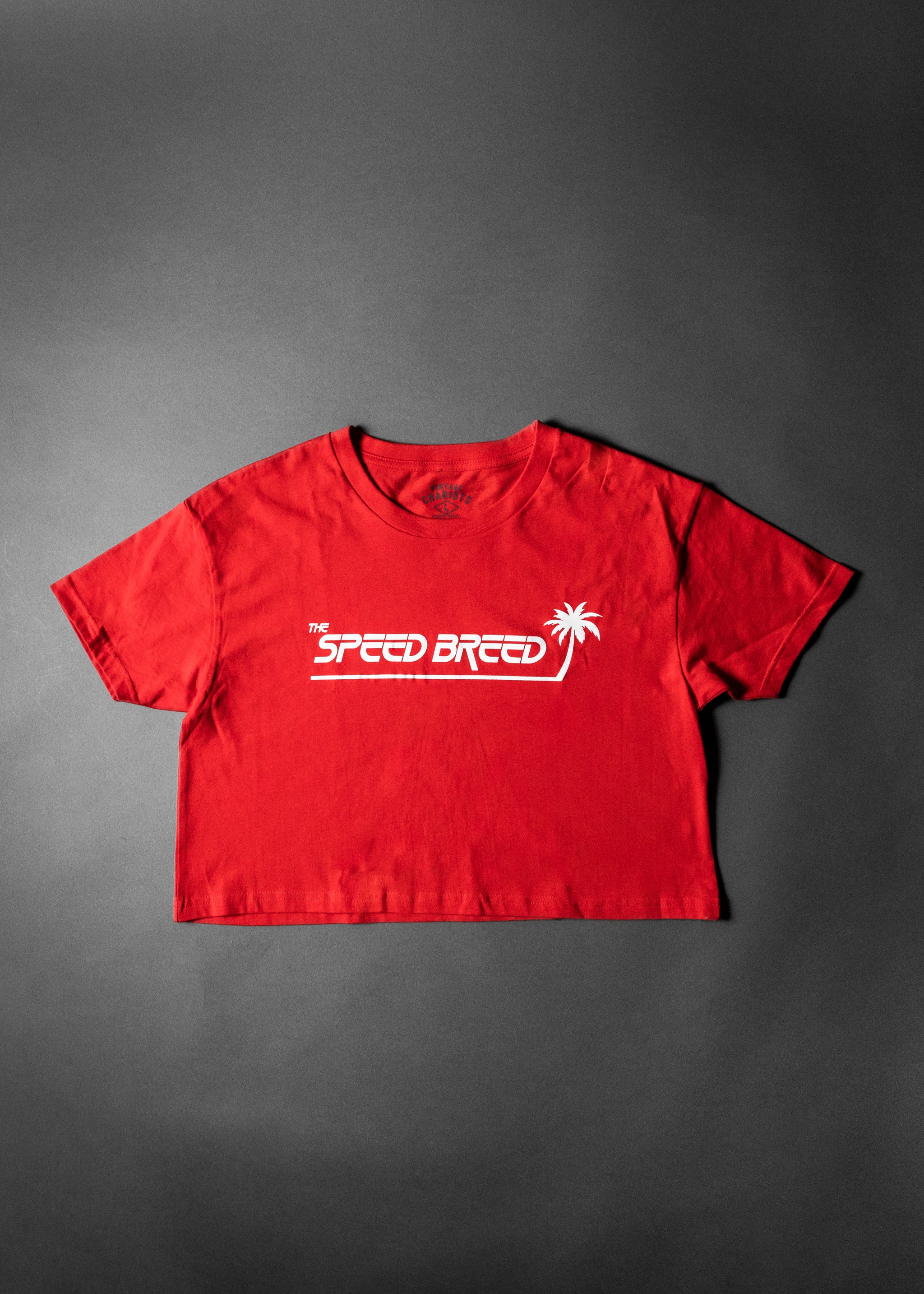 PALM TREE SPEED BREED WOMENS CROP TOP TEE (Team Red)