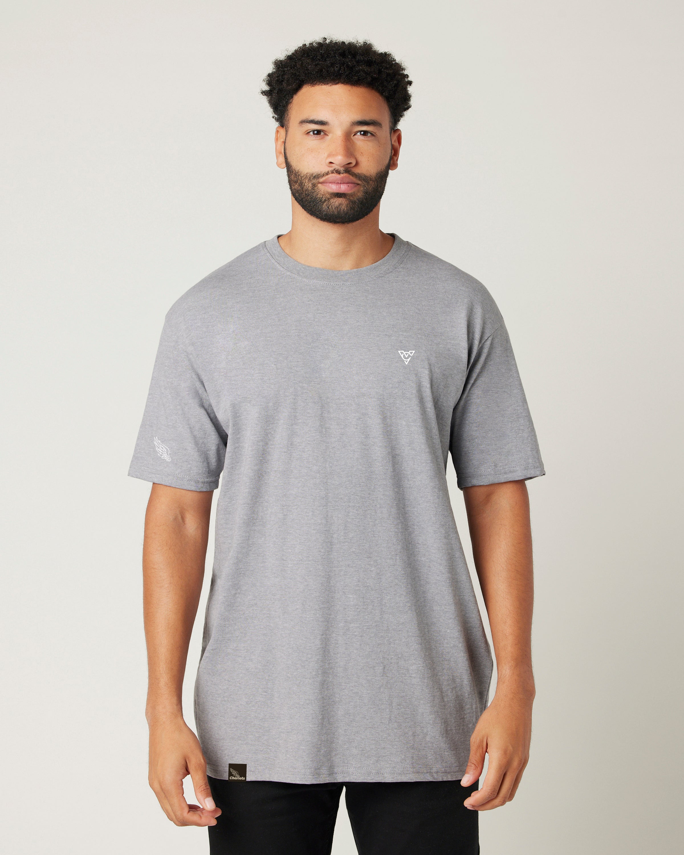 SPARTAN HEAVYWEIGHT TEE (Carbon Grey)