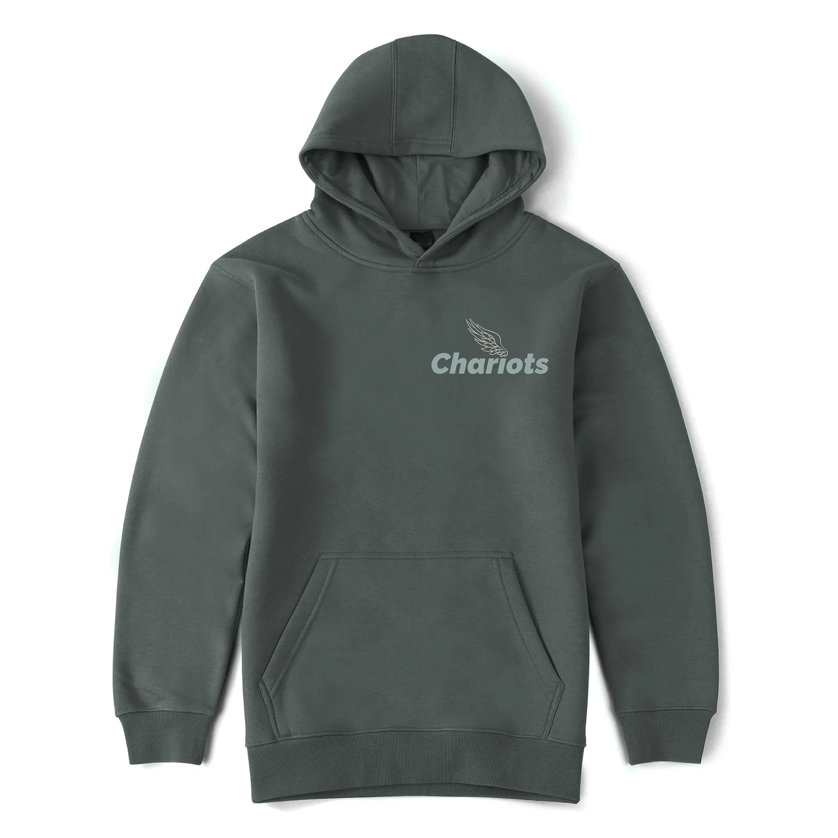 TAKE FLIGHT PREMIUM PULLOVER HOODIE (Sea Pine)