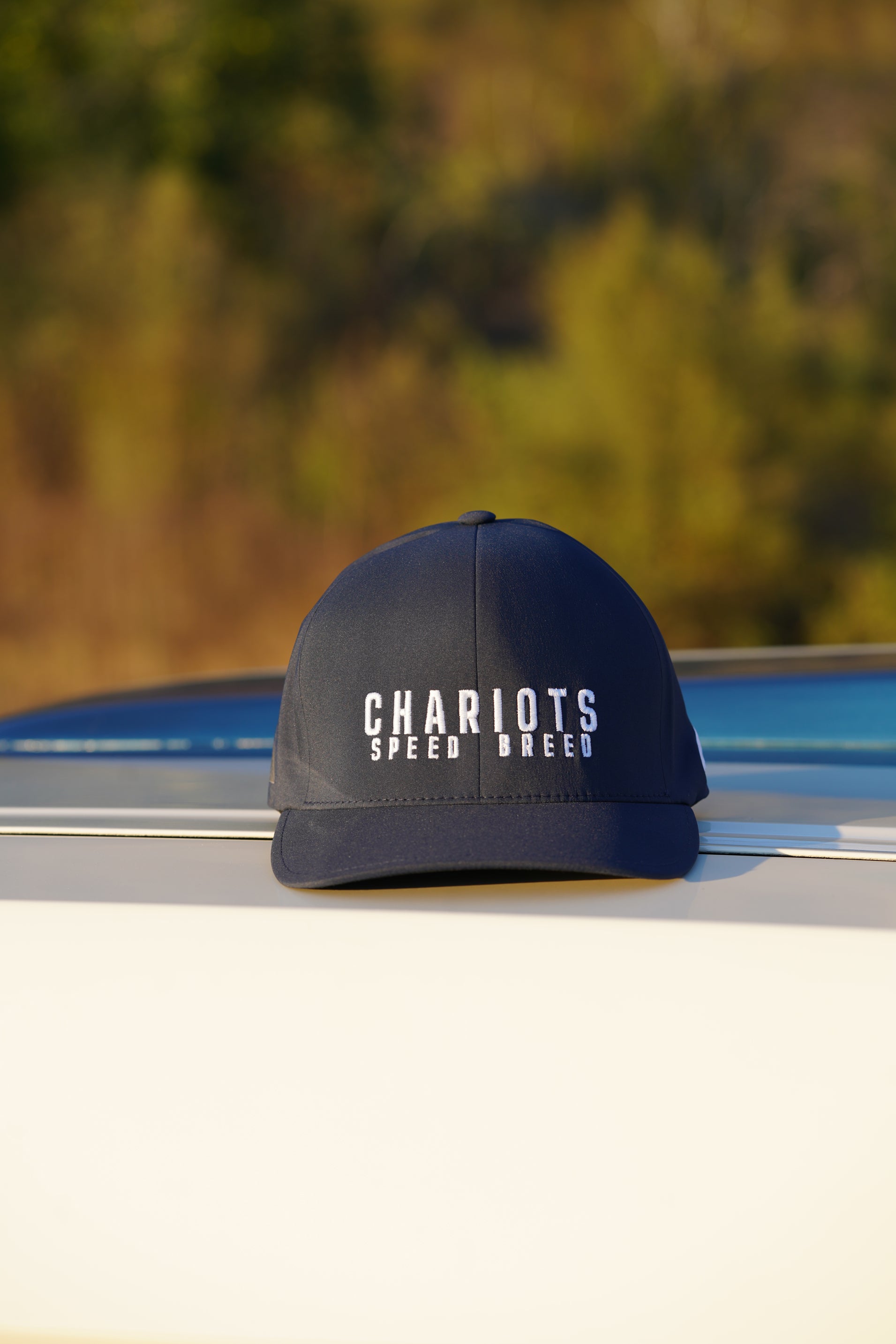APEX FLEXFIT DELTA HAT (College Navy/White)