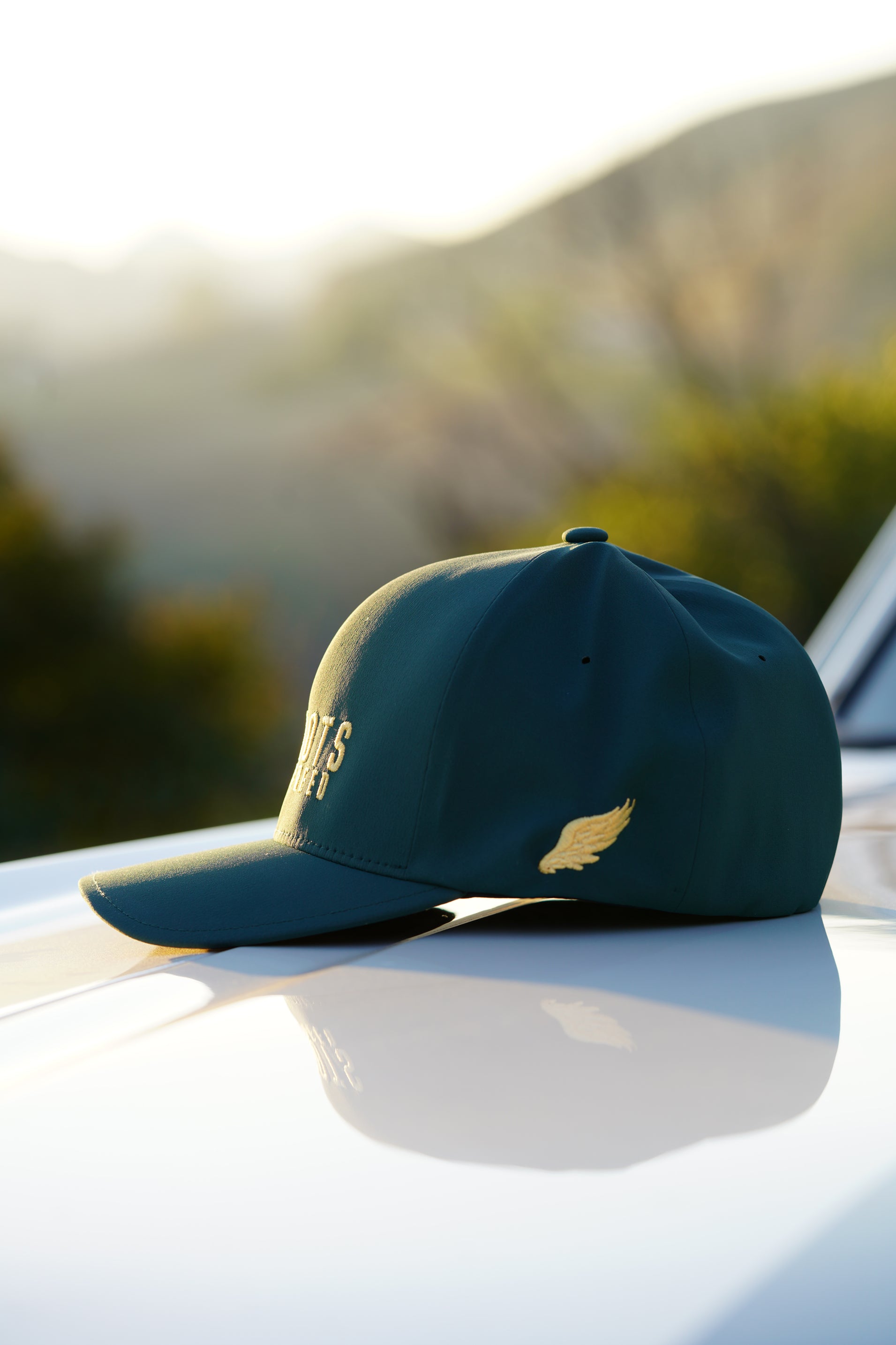 APEX FLEXFIT DELTA HAT (Spruce/Gold)