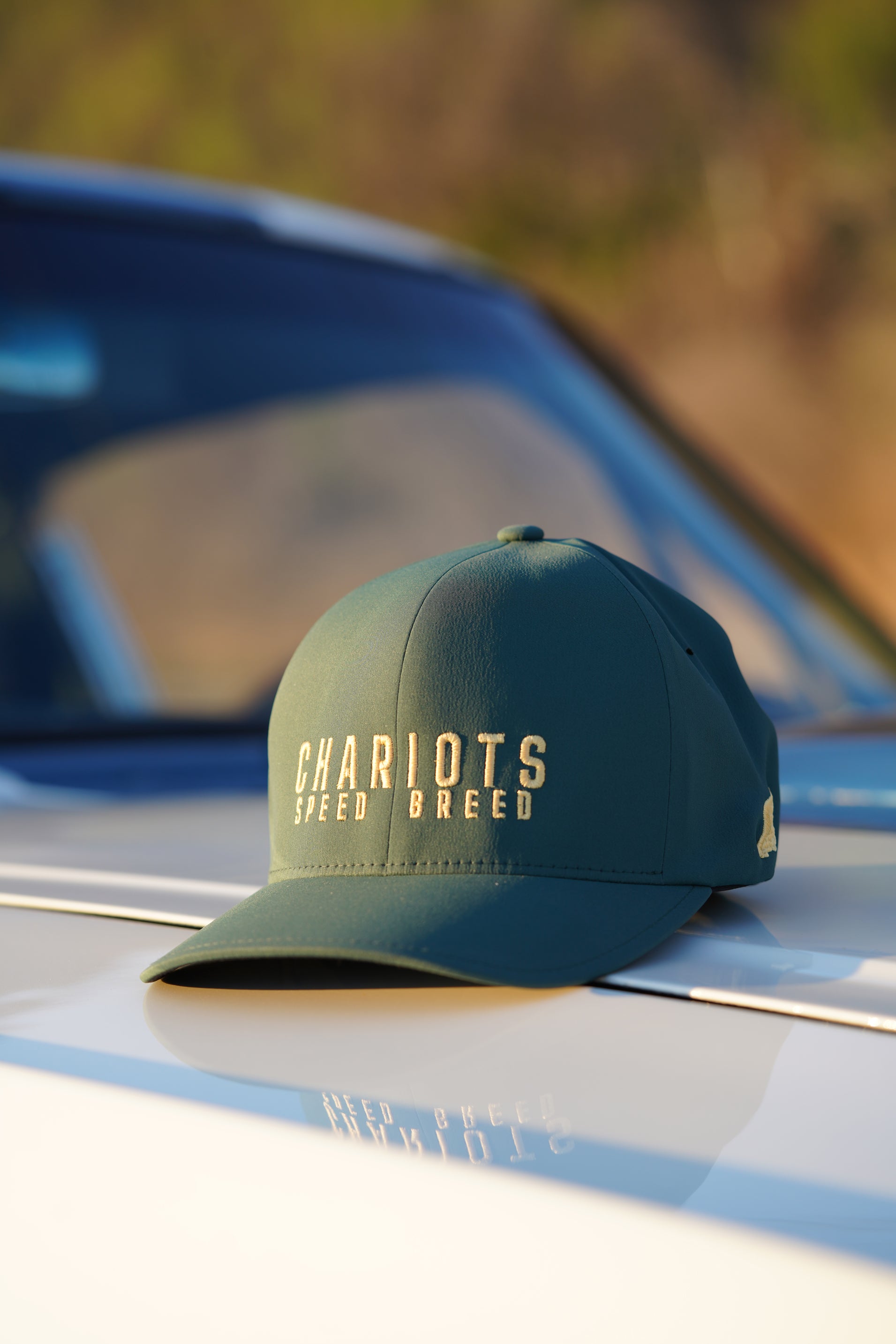 APEX FLEXFIT DELTA HAT (Spruce/Gold)