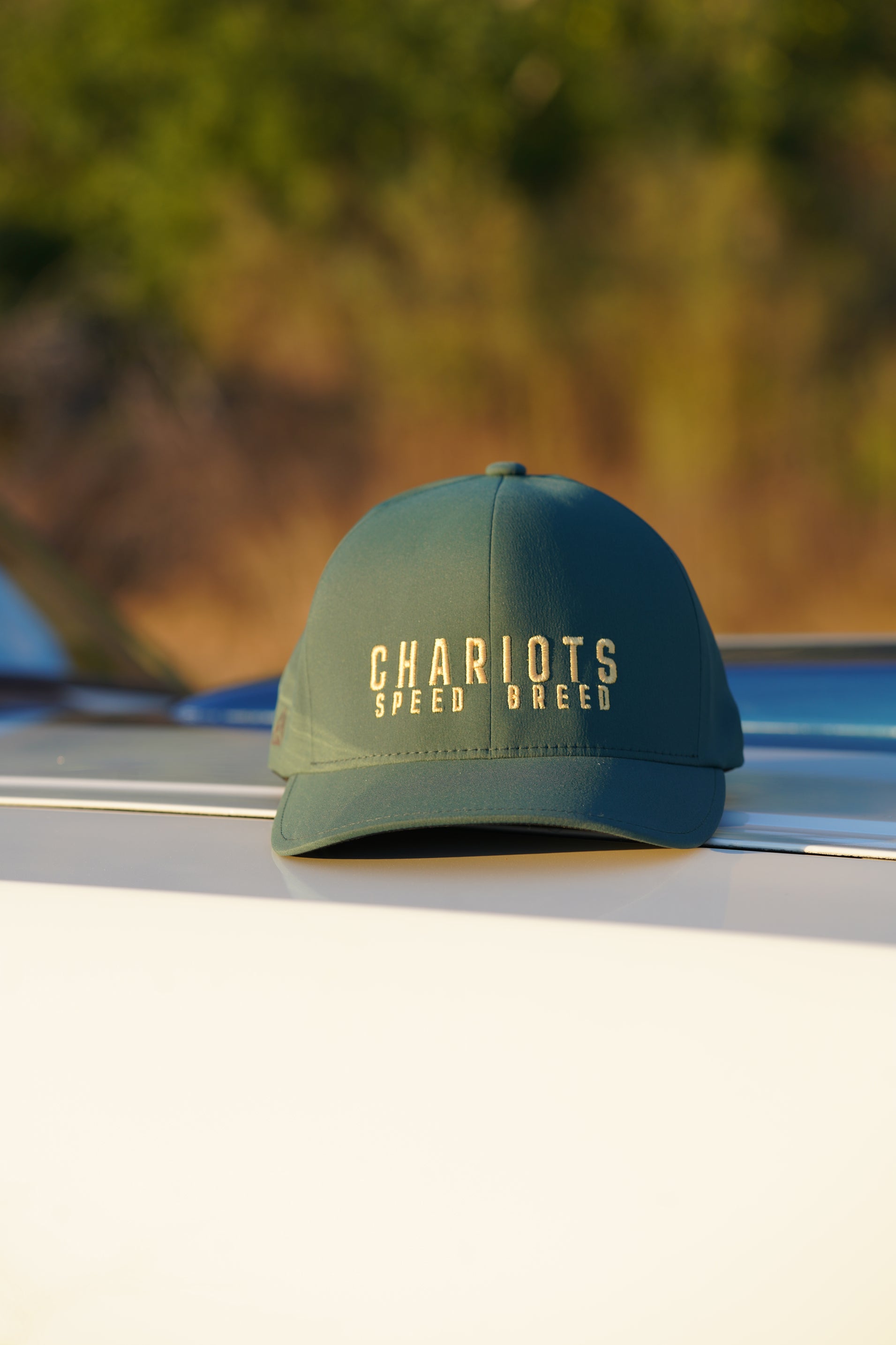 APEX FLEXFIT DELTA HAT (Spruce/Gold)