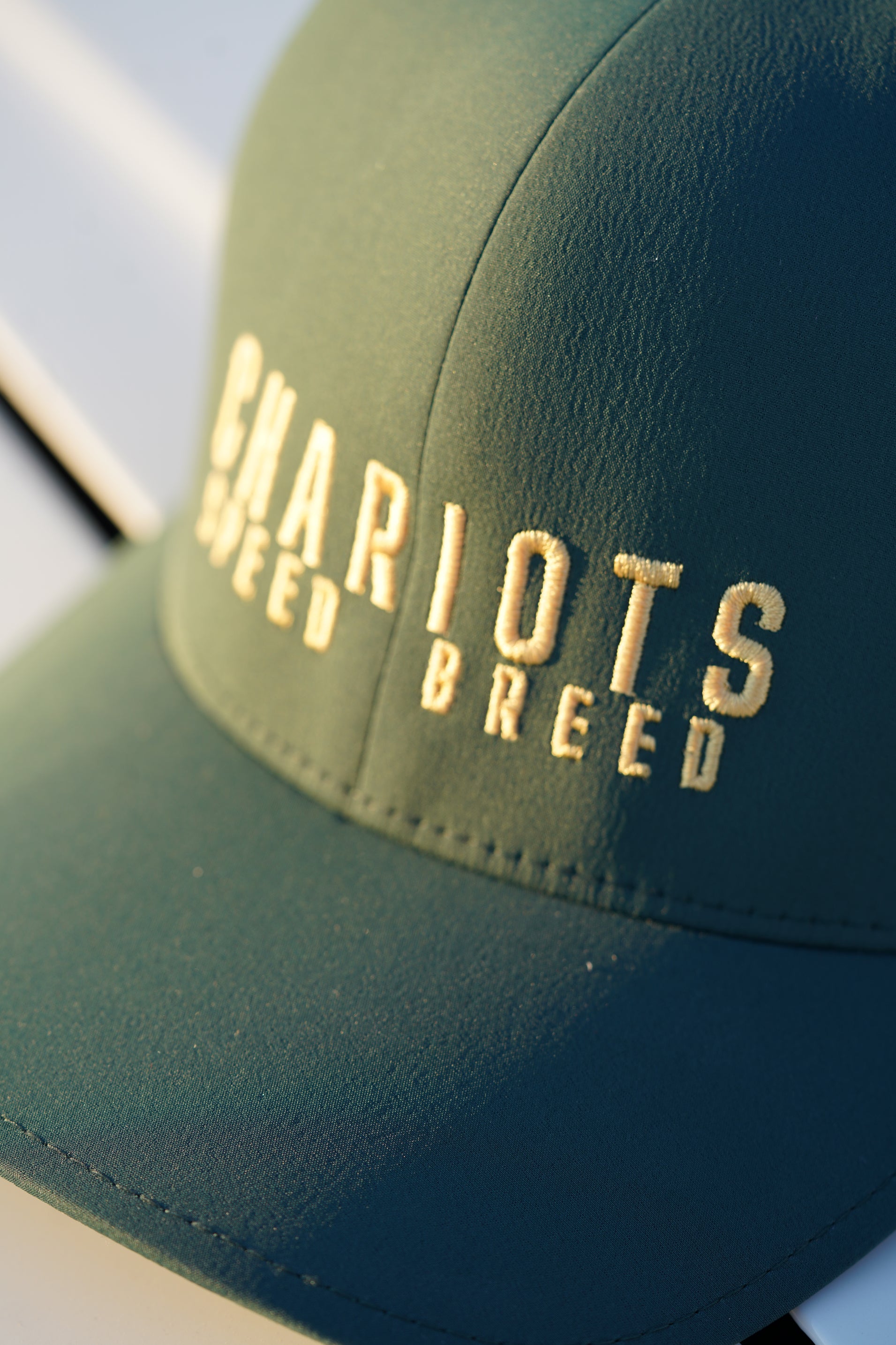 APEX FLEXFIT DELTA HAT (Spruce/Gold)