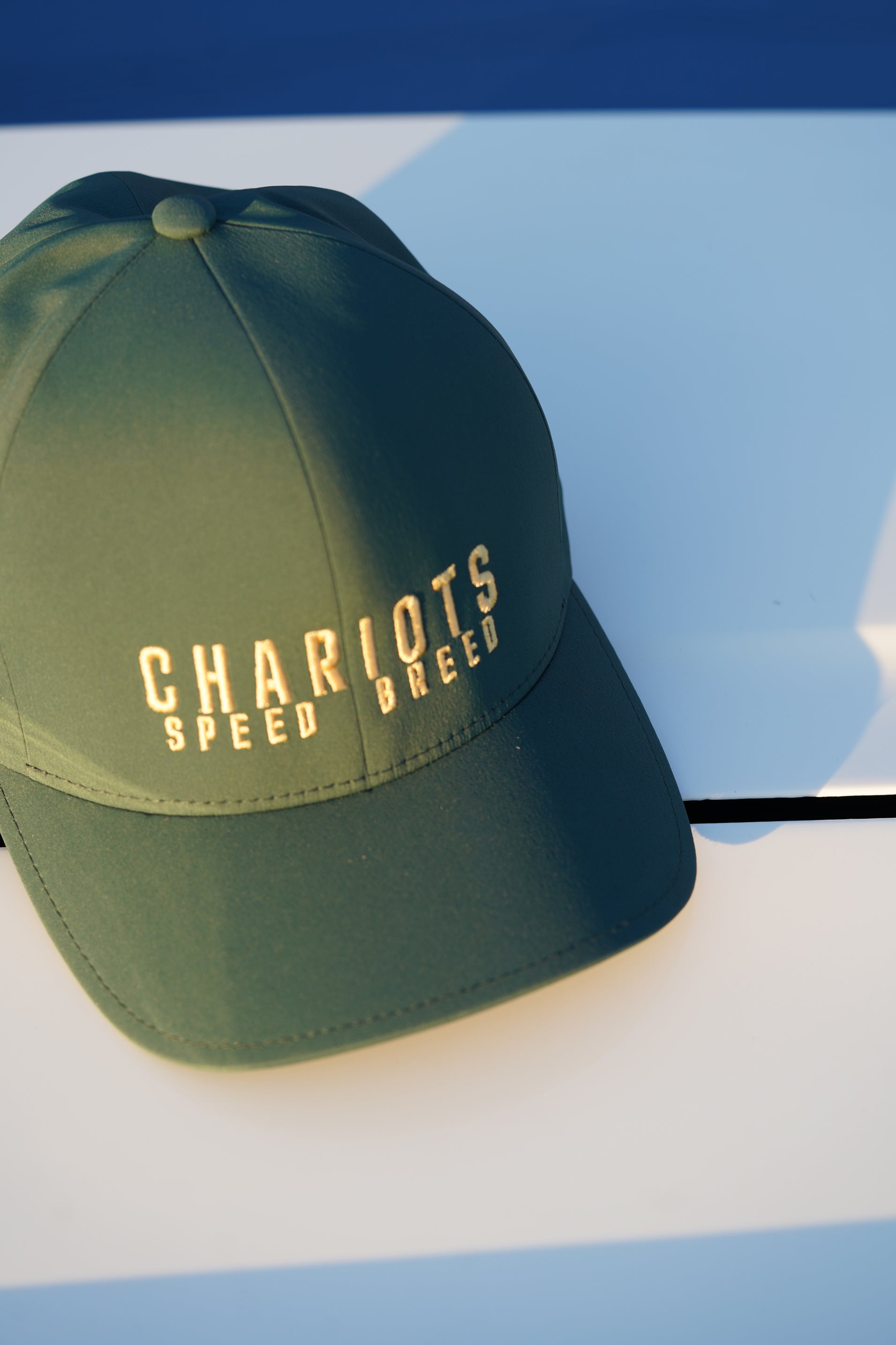APEX FLEXFIT DELTA HAT (Spruce/Gold)