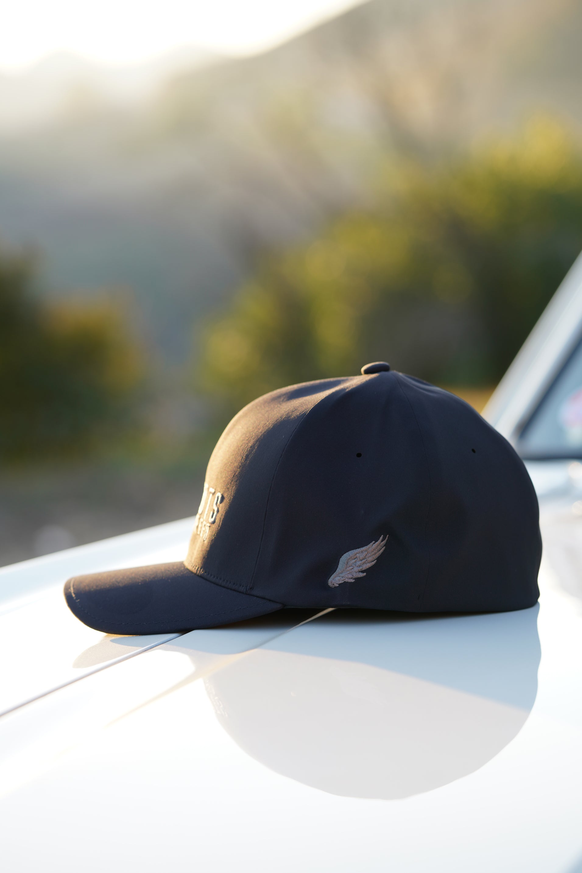 APEX FLEXFIT DELTA HAT (Black/Ashen Grey)