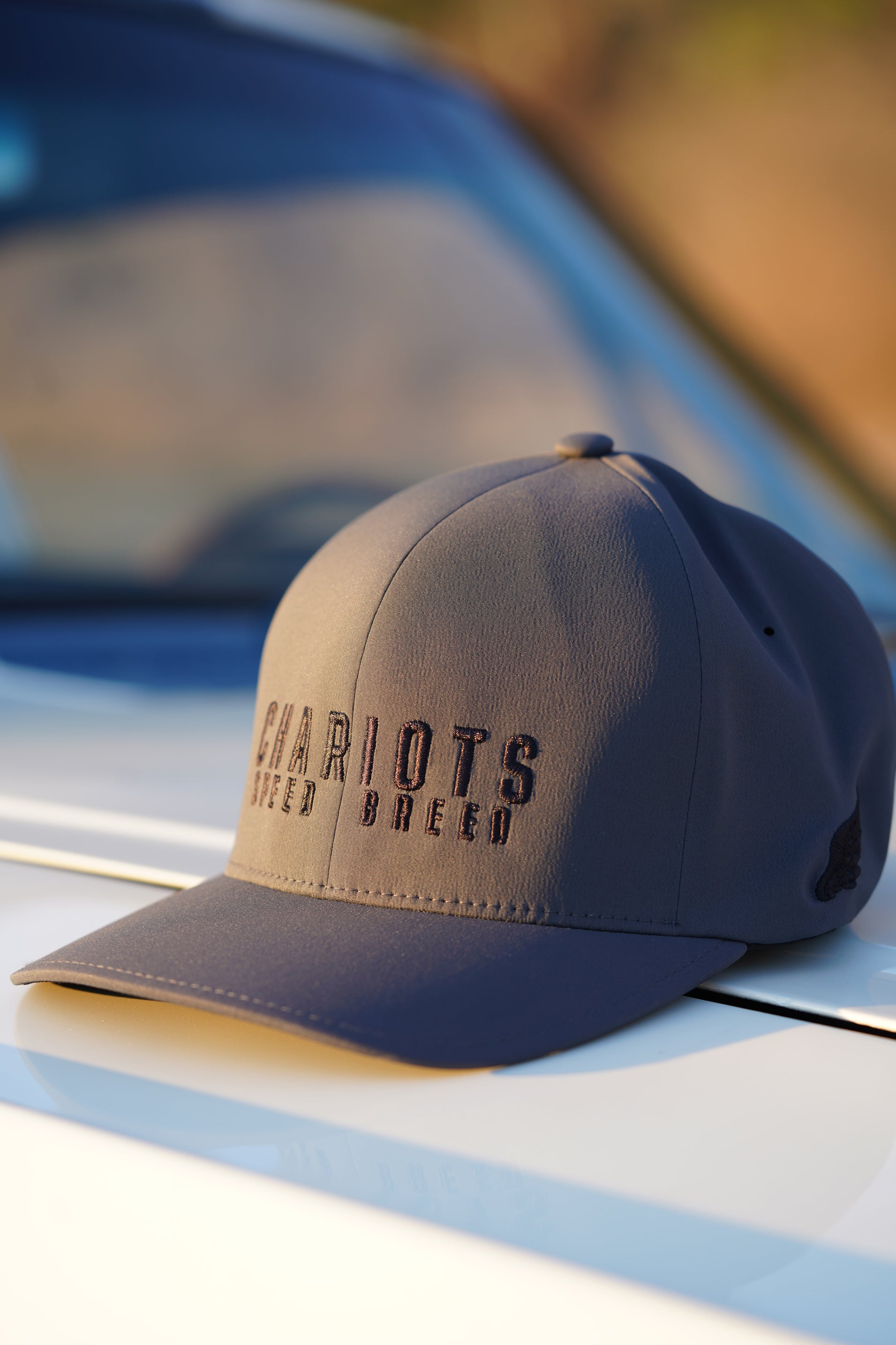 APEX FLEXFIT DELTA HAT (Iron Ore/Black)