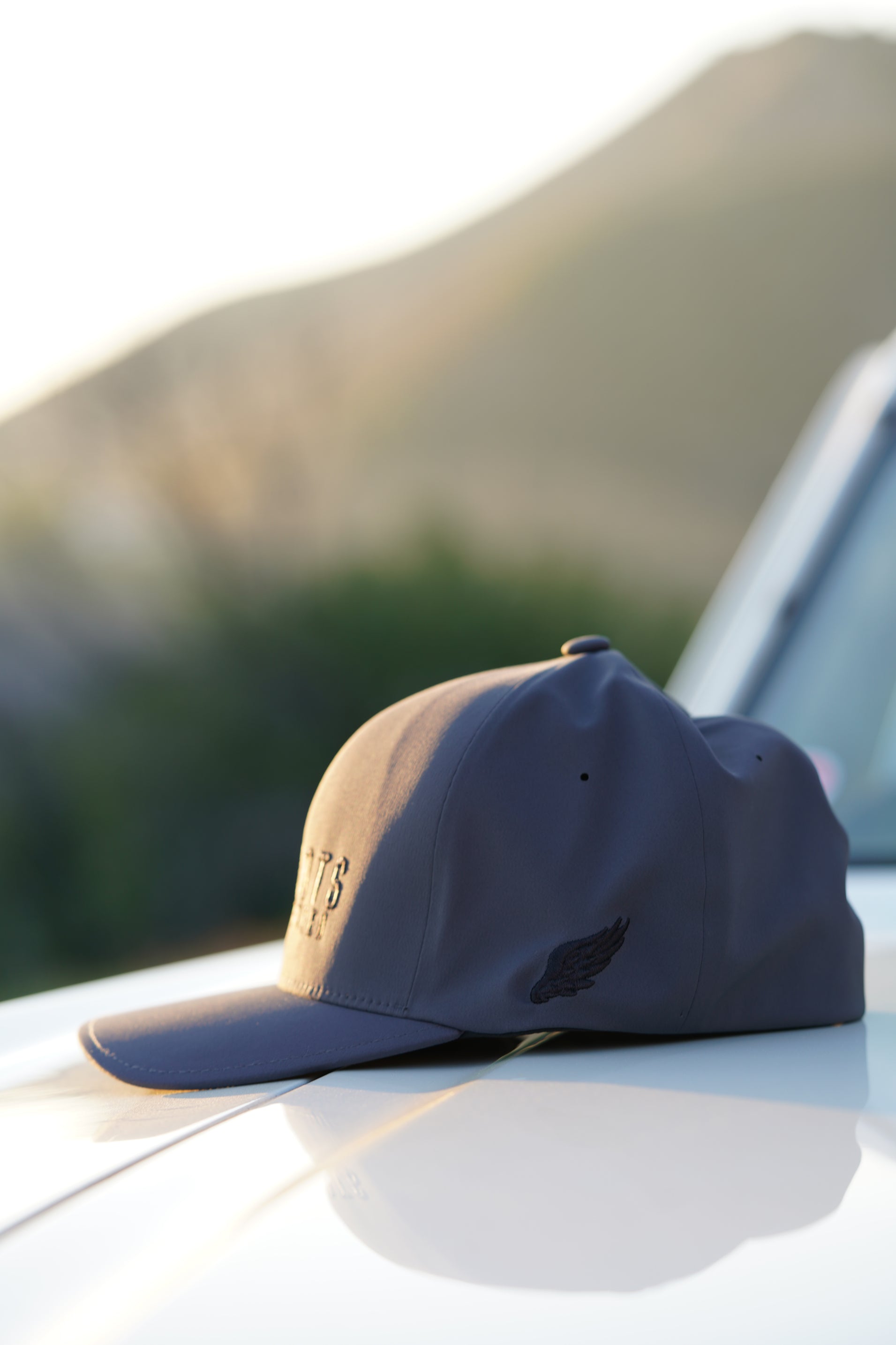 APEX FLEXFIT DELTA HAT (Iron Ore/Black)