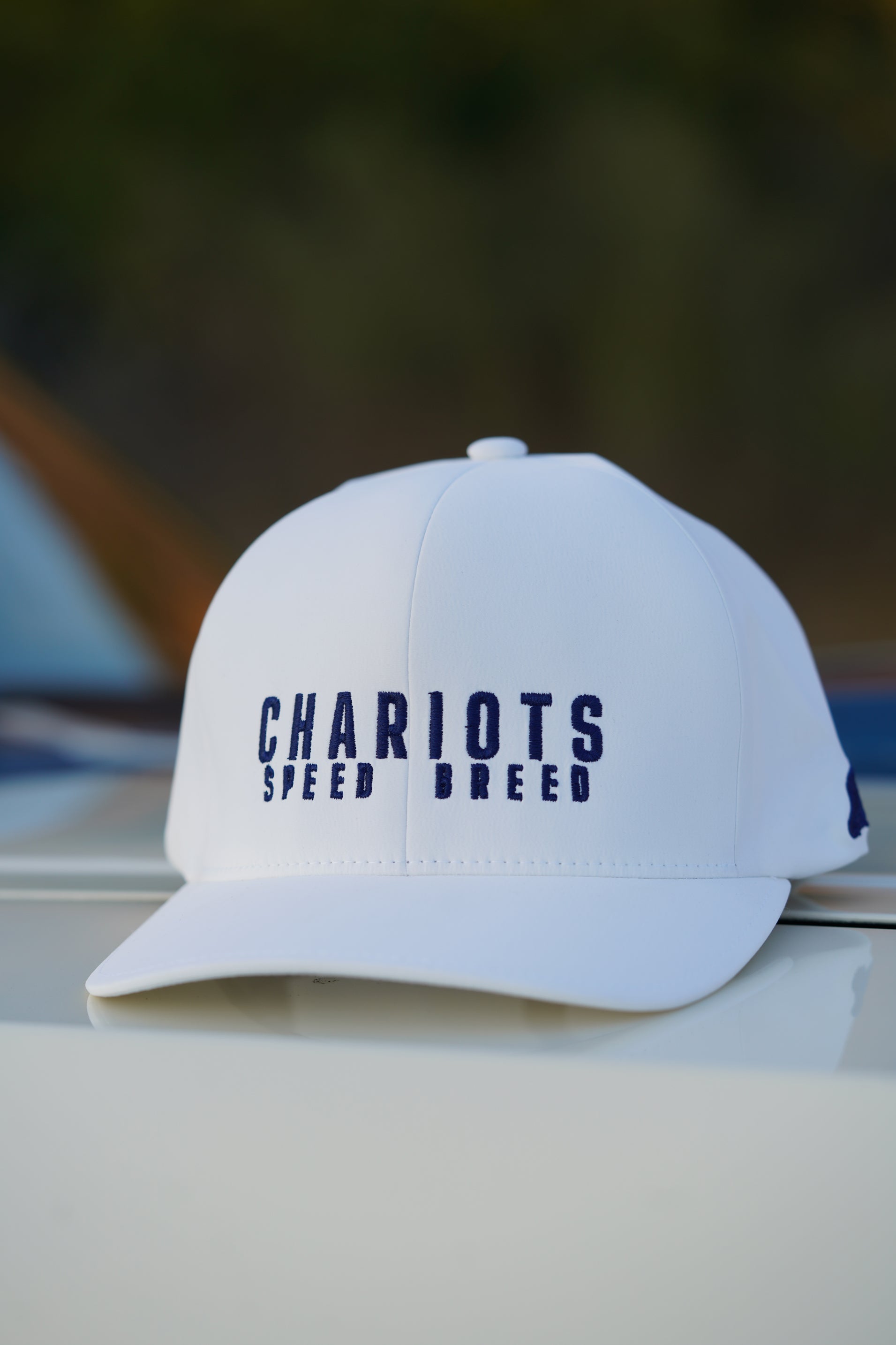 APEX FLEXFIT DELTA HAT (Alpine White/Navy)