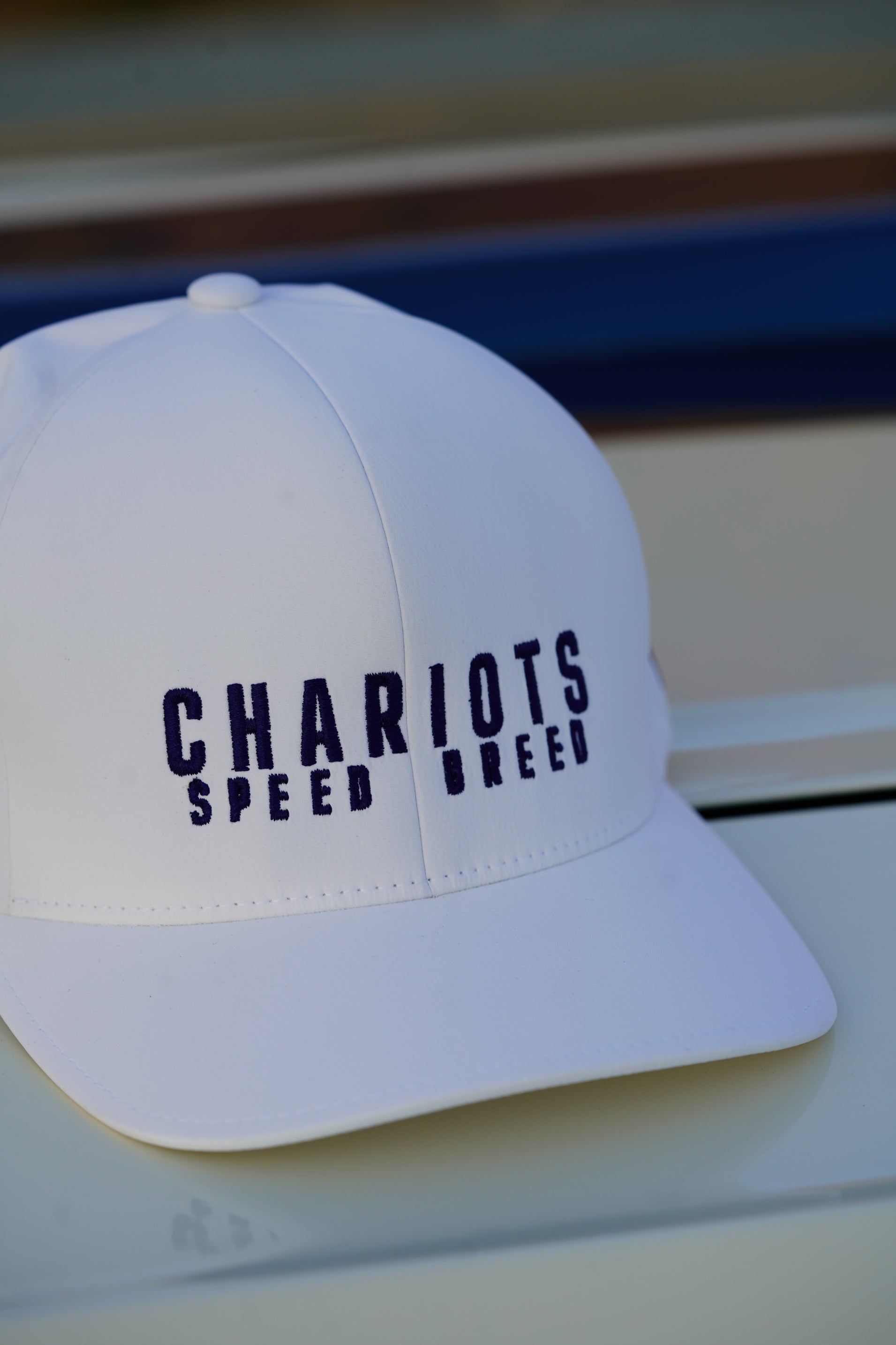 APEX FLEXFIT DELTA HAT (Alpine White/Navy)
