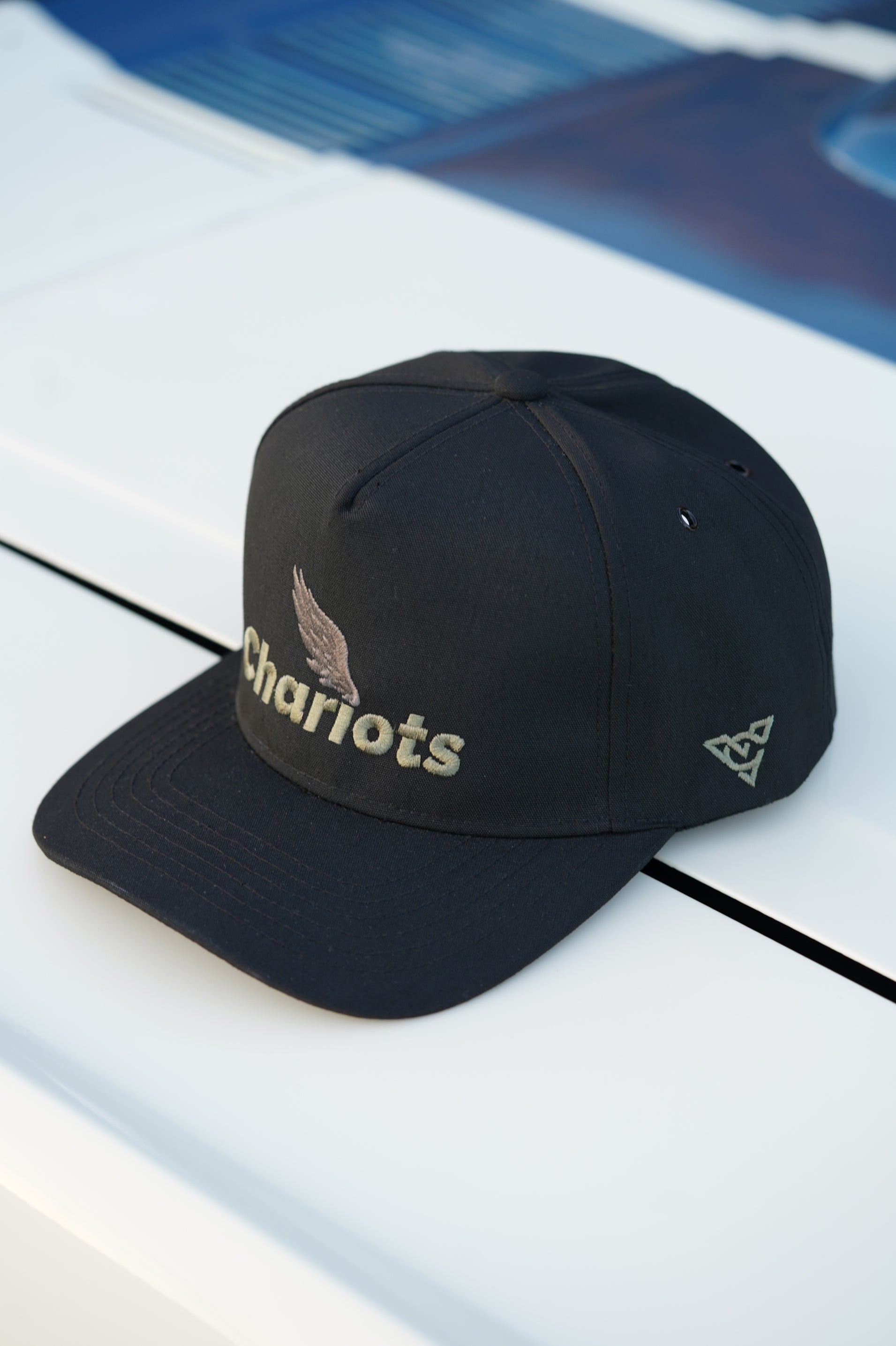 ZEPHYR COTTON CANVAS HAT (Black/Sage/Pewter)