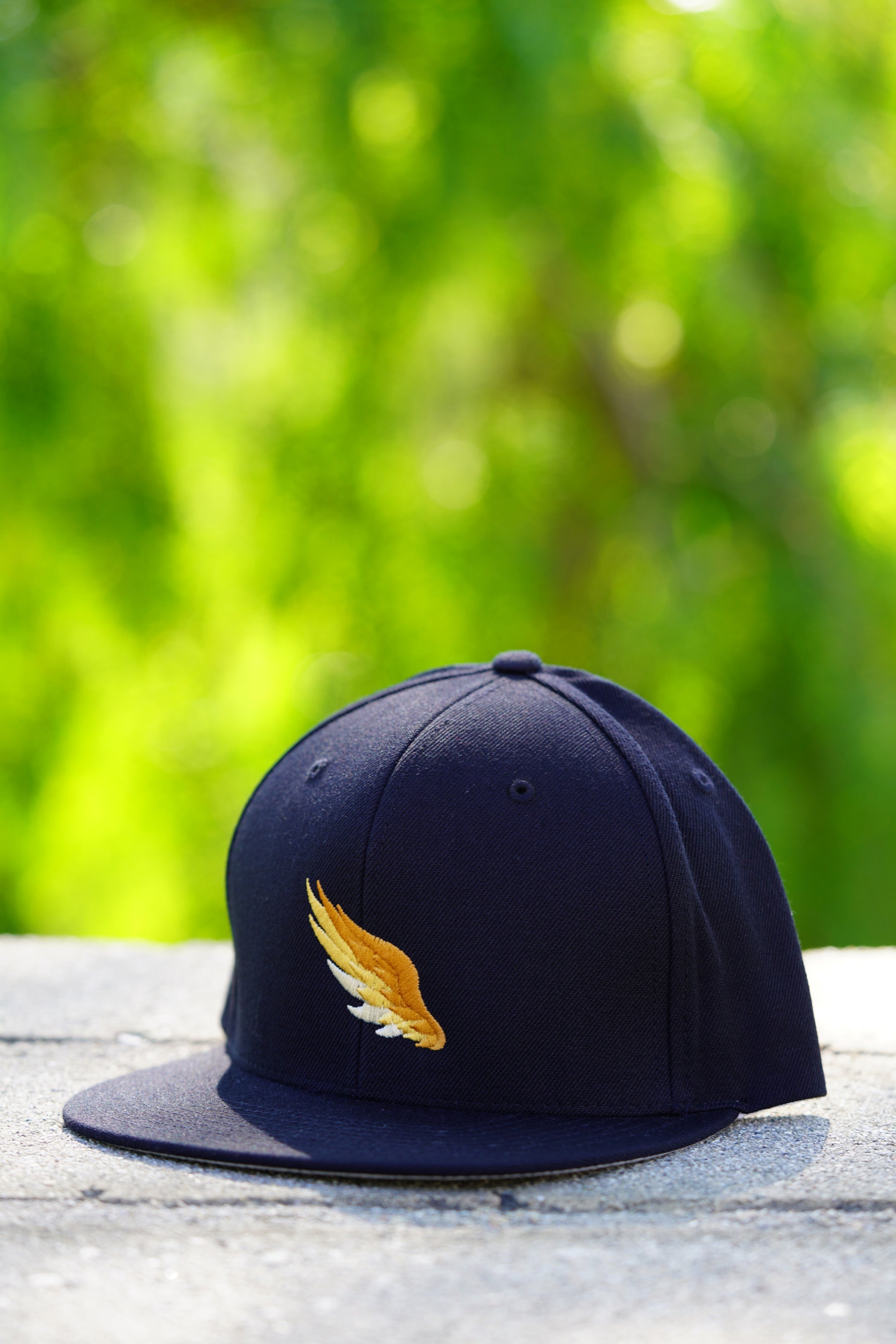 TAKEOFF FLATBILL HAT (Black/Sunburst Wing)