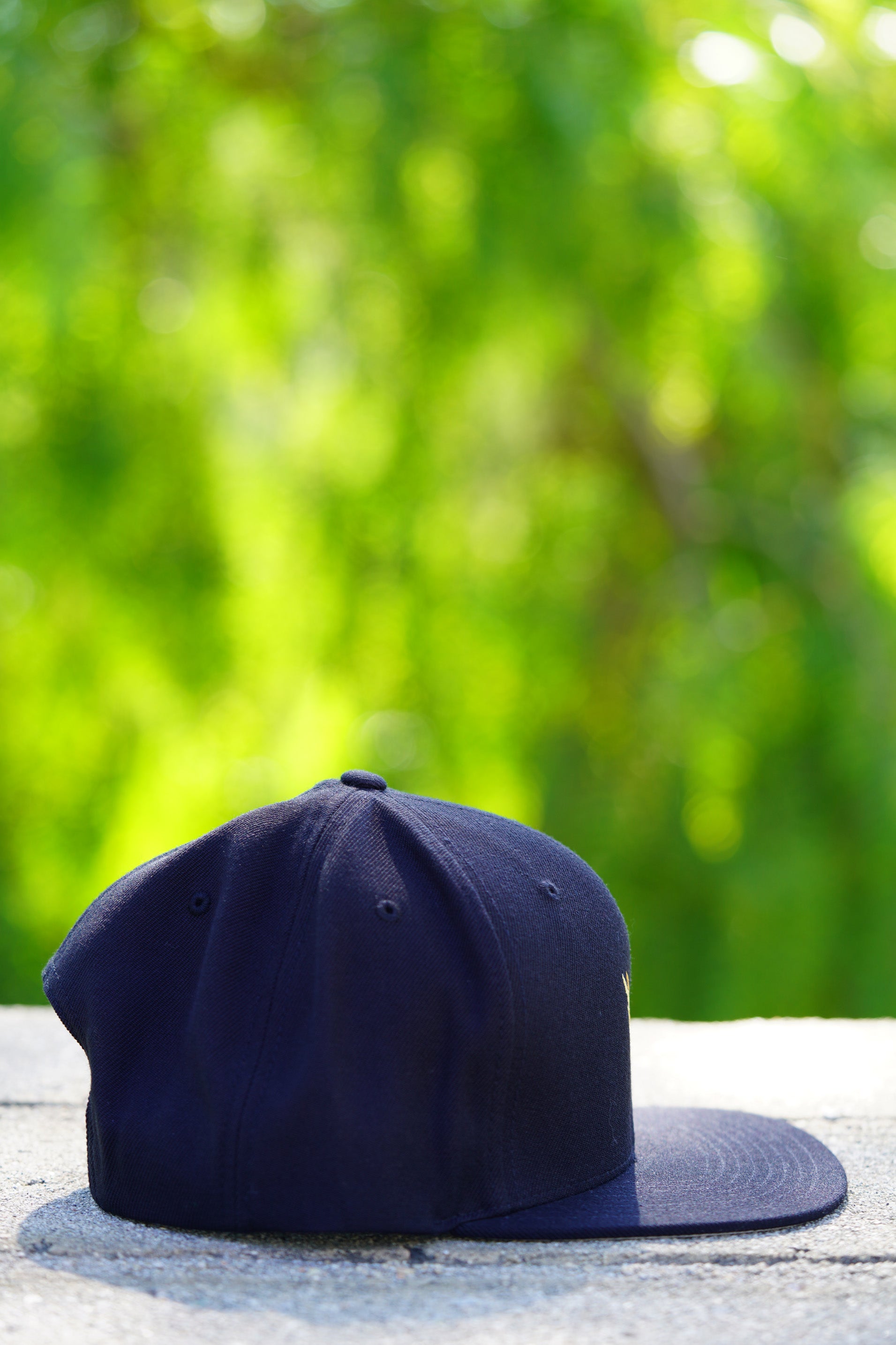 TAKEOFF FLATBILL HAT (Black/Sunburst Wing)