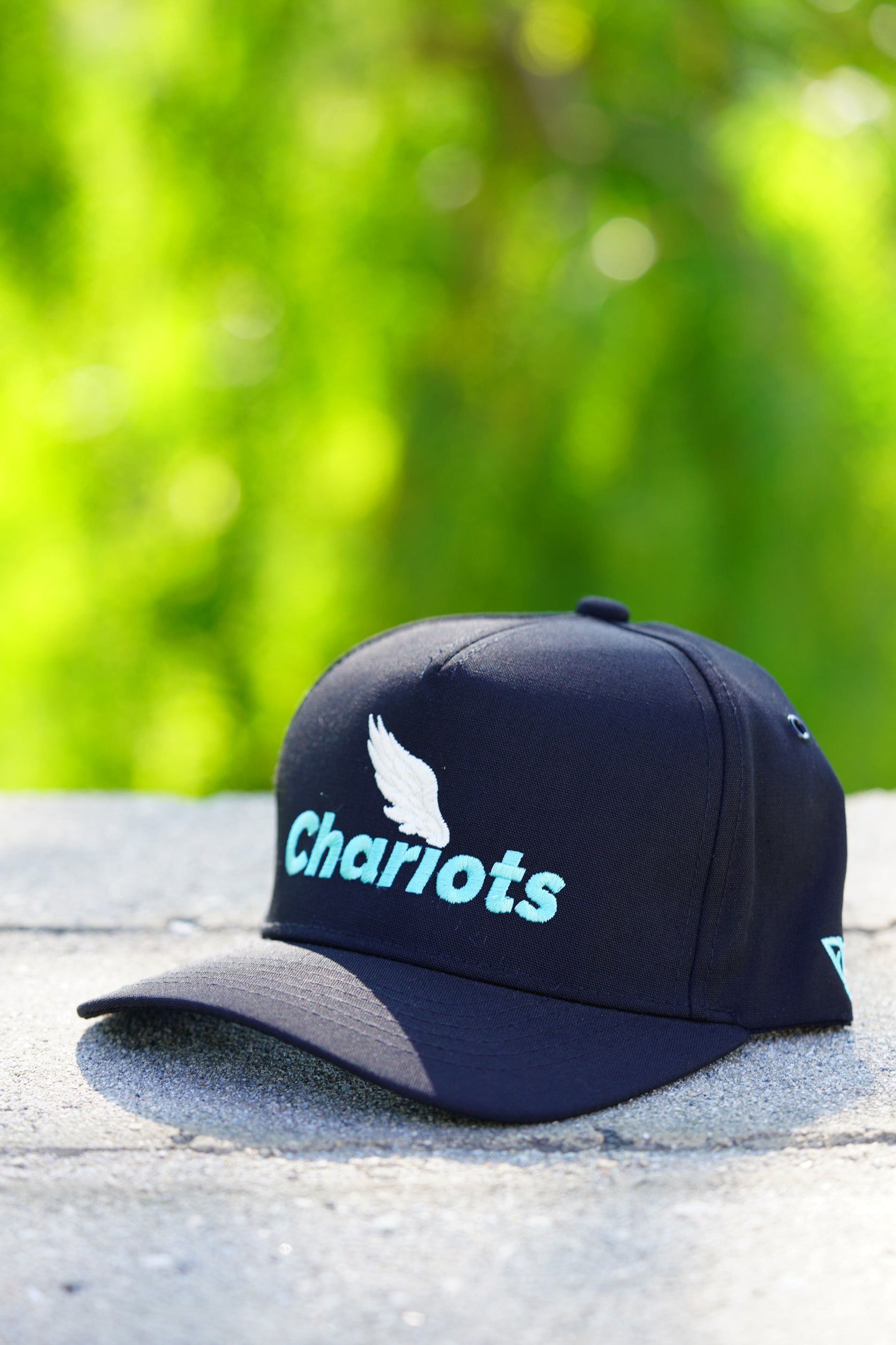 ZEPHYR COTTON CANVAS HAT (Black/Aqua/Powder)