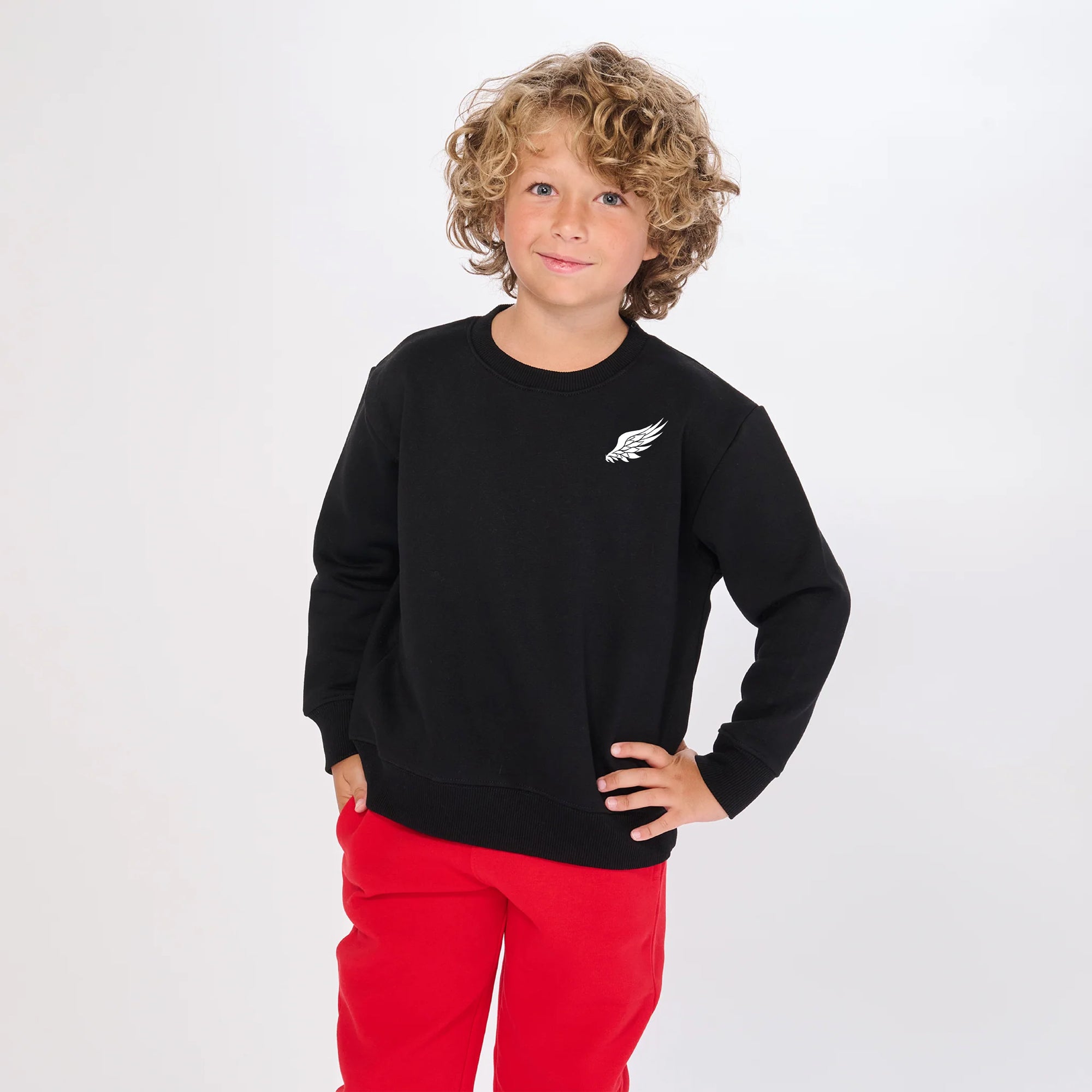 YOUTH LITTLE BIRD CREWNECK SWEATSHIRT (Black)