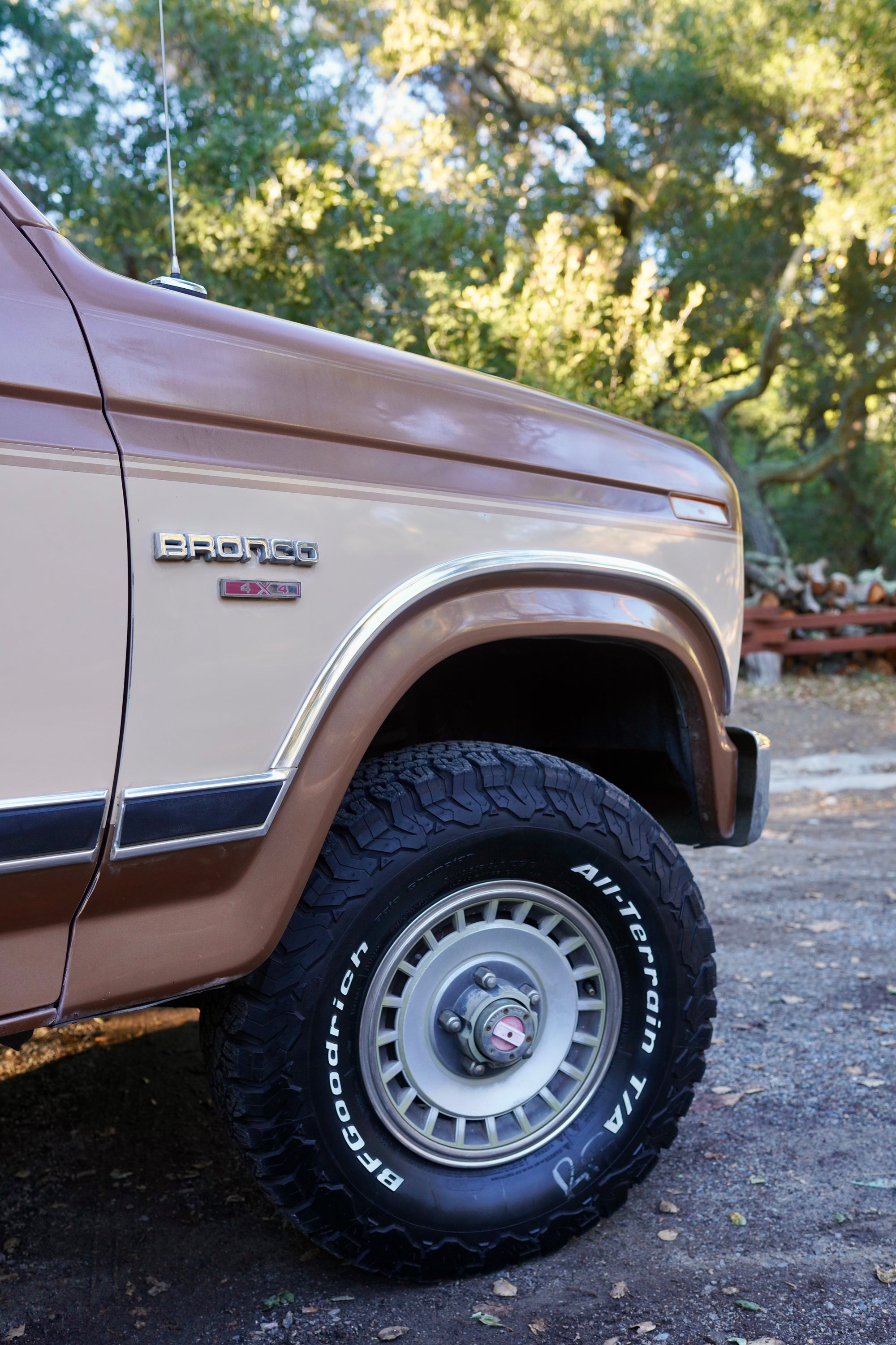 1986 Ford Bronco