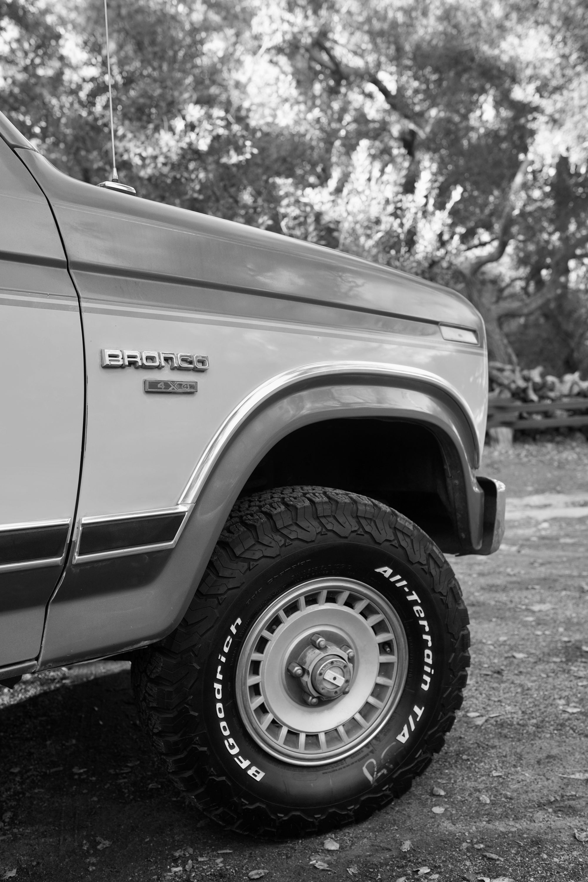 1986 Ford Bronco
