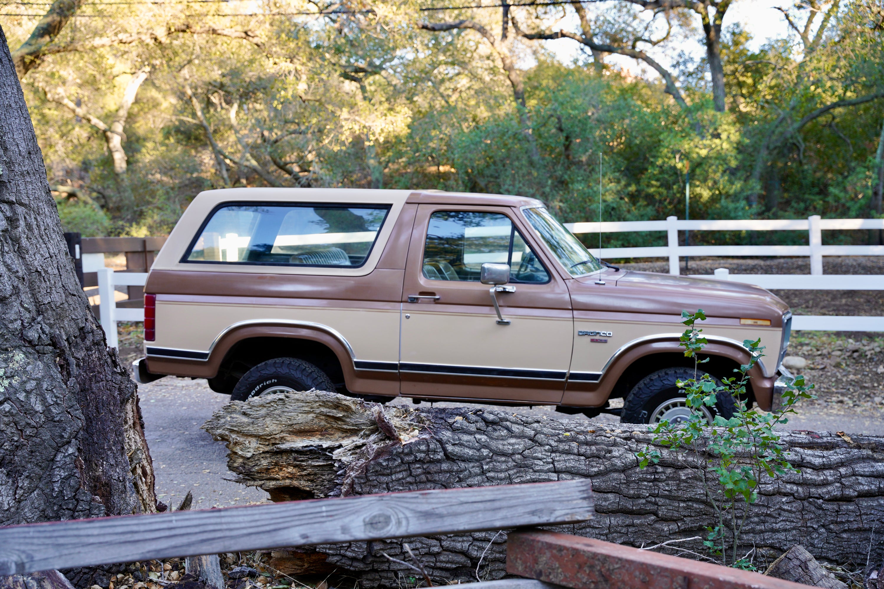 1986 Ford Bronco
