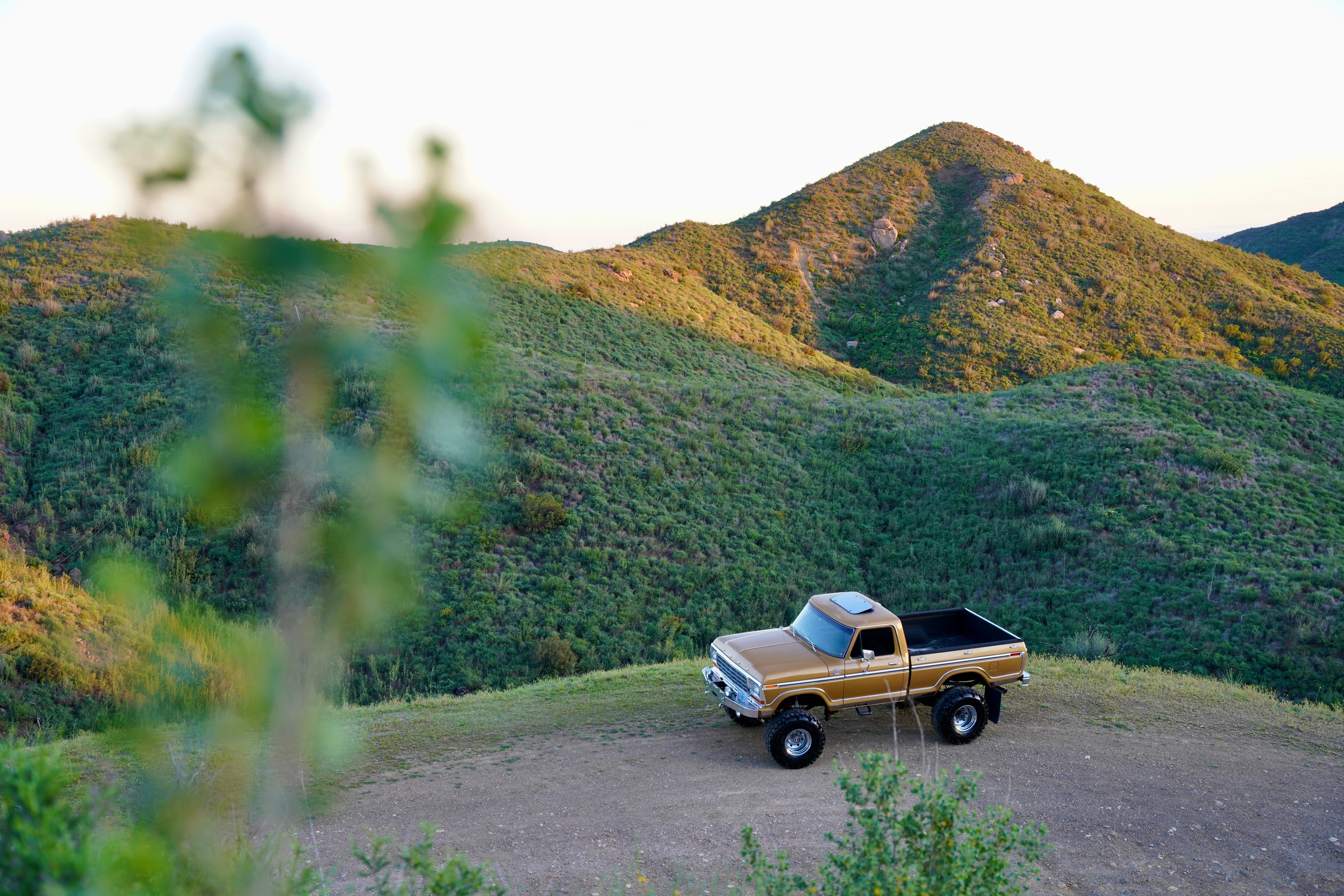 1979 Ford F-150 4x4 Short Bed Gold FINE ART PRINT