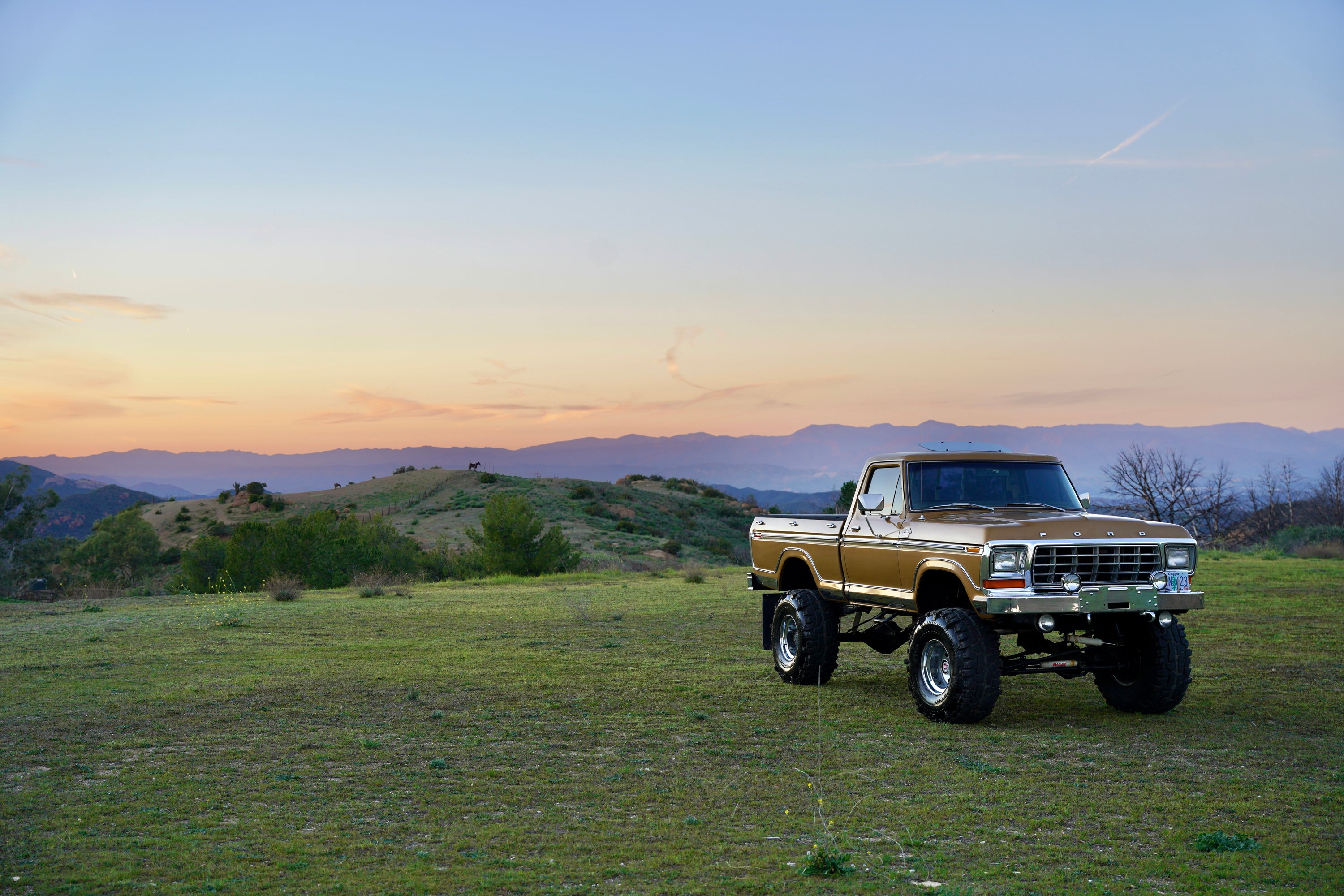 1979 Ford F-150 4x4 Short Bed Gold FINE ART PRINT