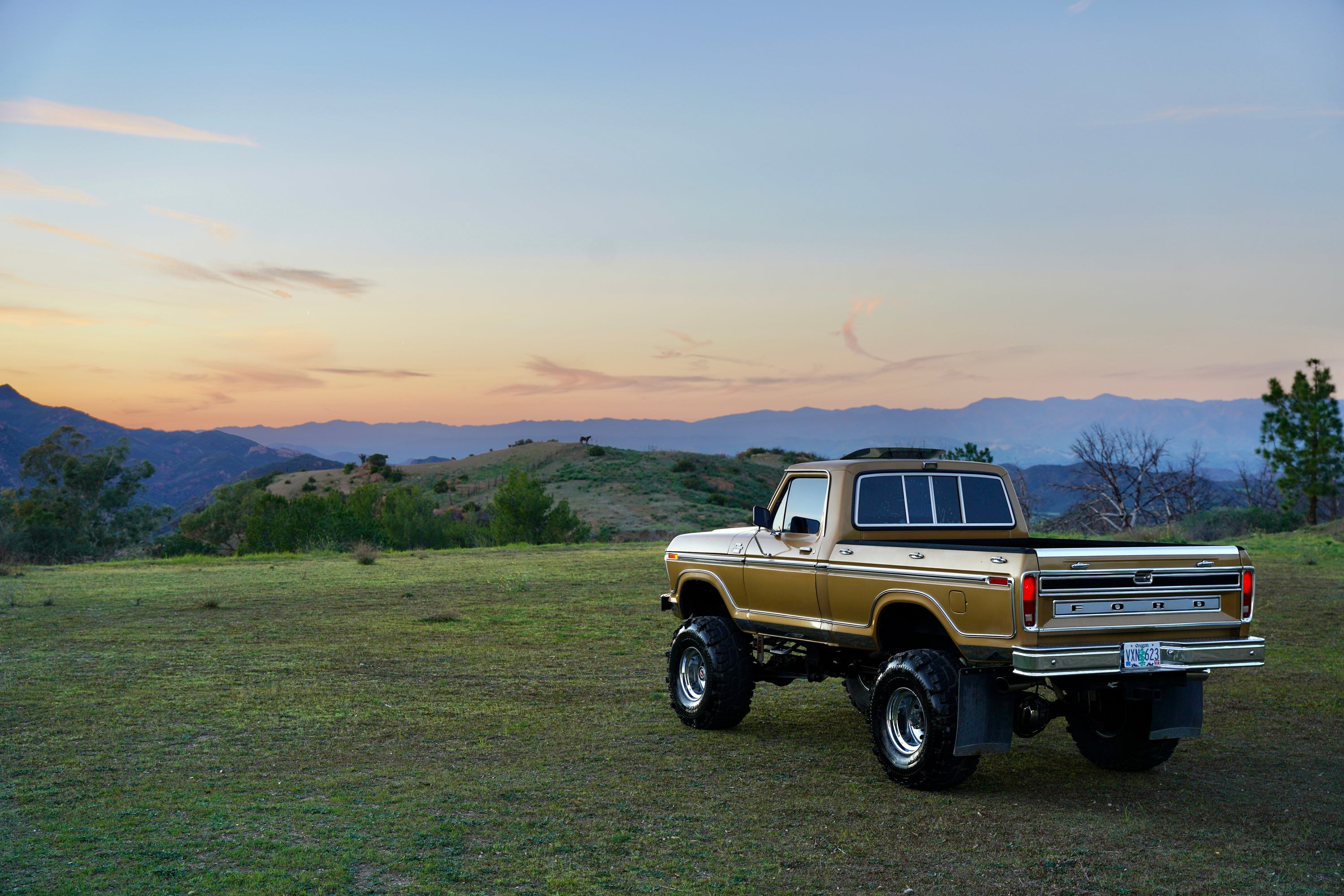 1979 Ford F-150 4x4 Short Bed Gold FINE ART PRINT