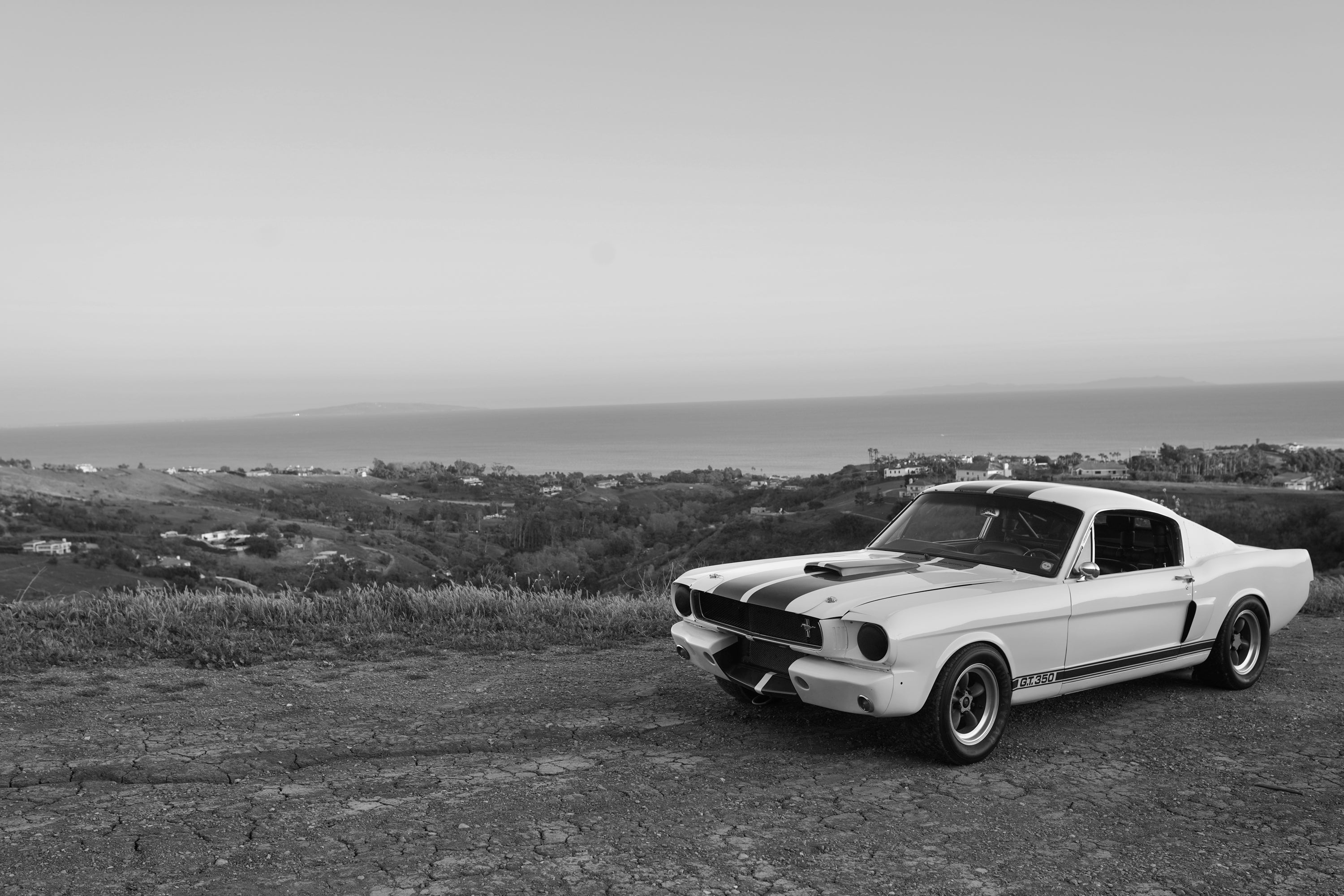 1965 Shelby Mustang GT350R FINE ART PRINT