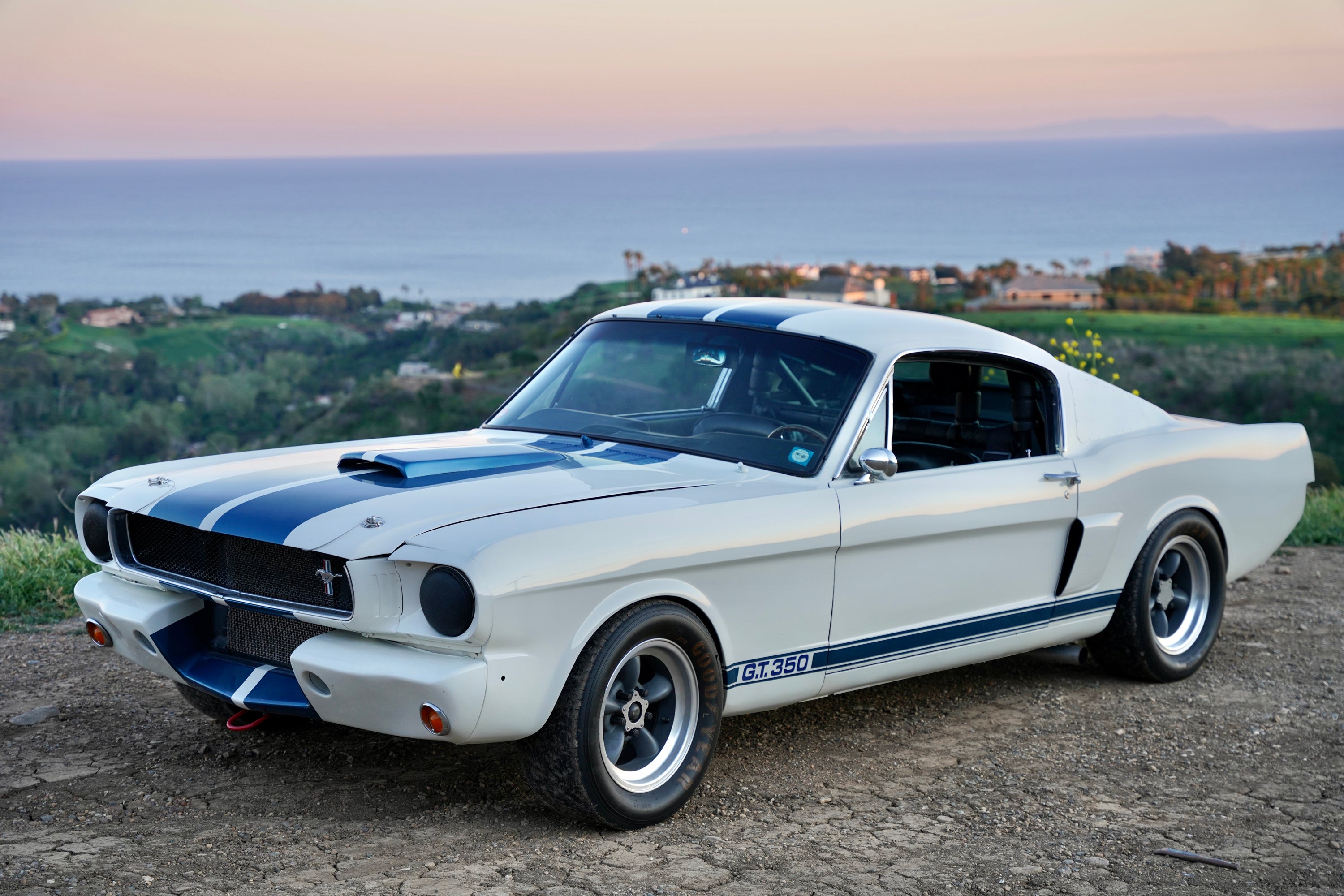 1965 Shelby Mustang GT350R FINE ART PRINT