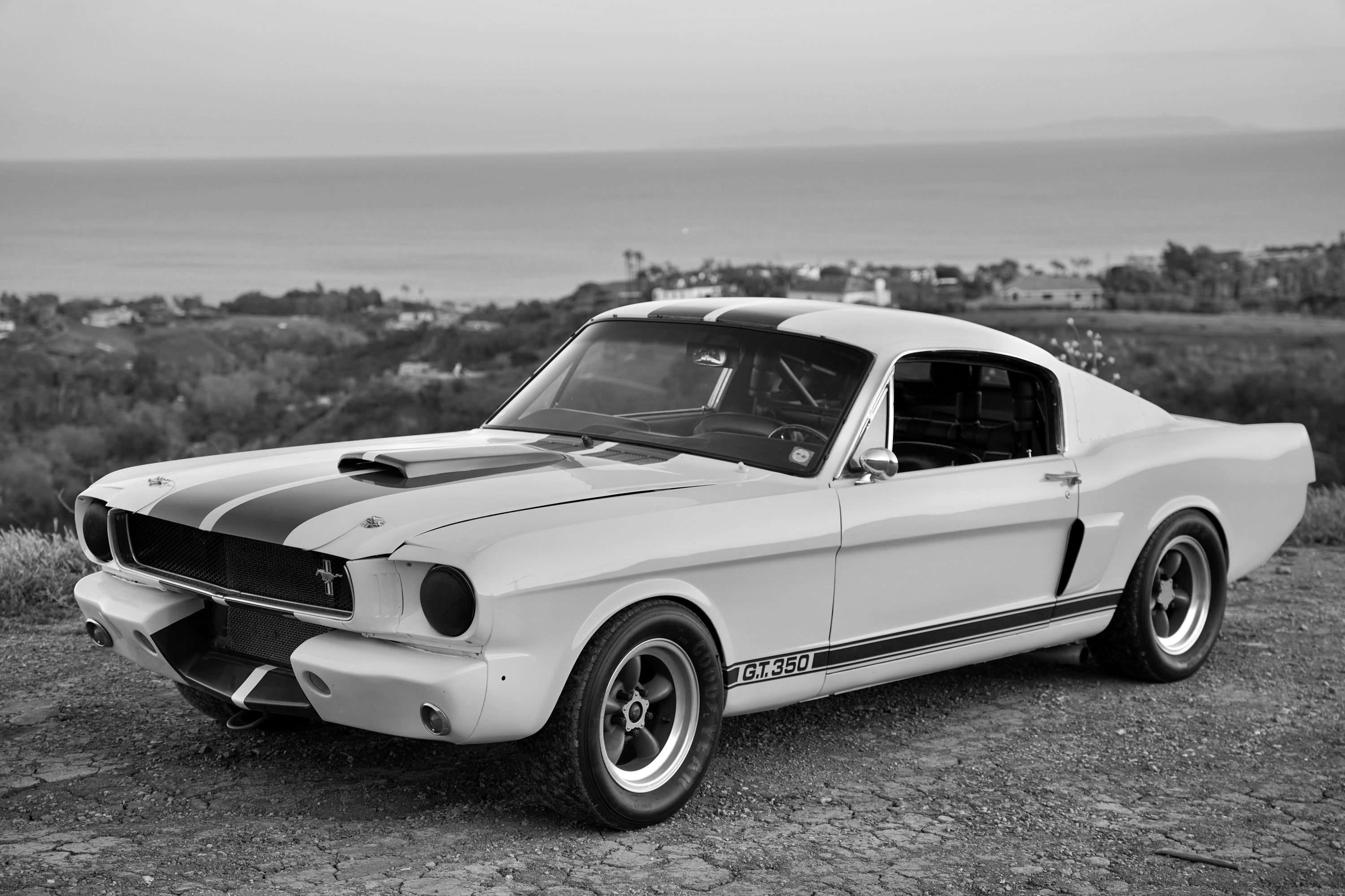 1965 Shelby Mustang GT350R FINE ART PRINT