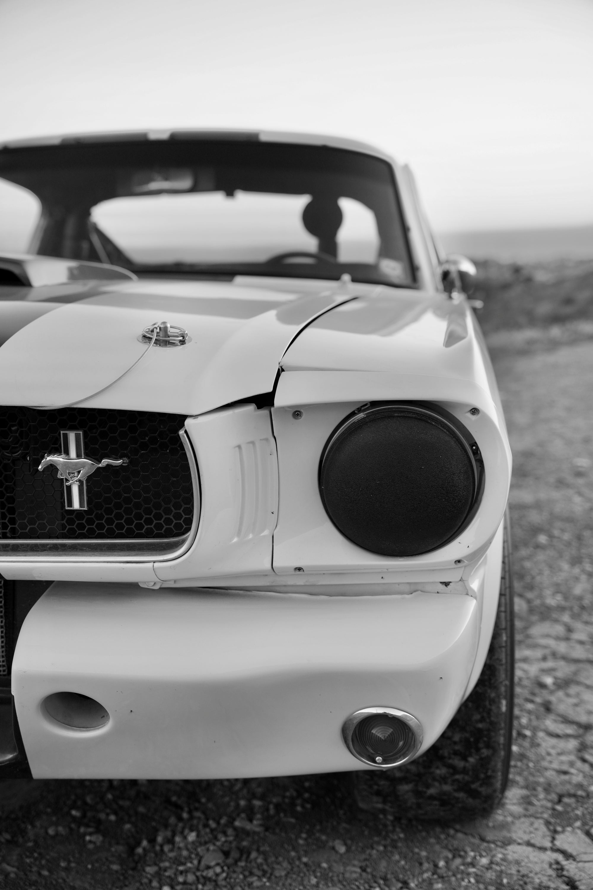 1965 Shelby Mustang GT350R FINE ART PRINT