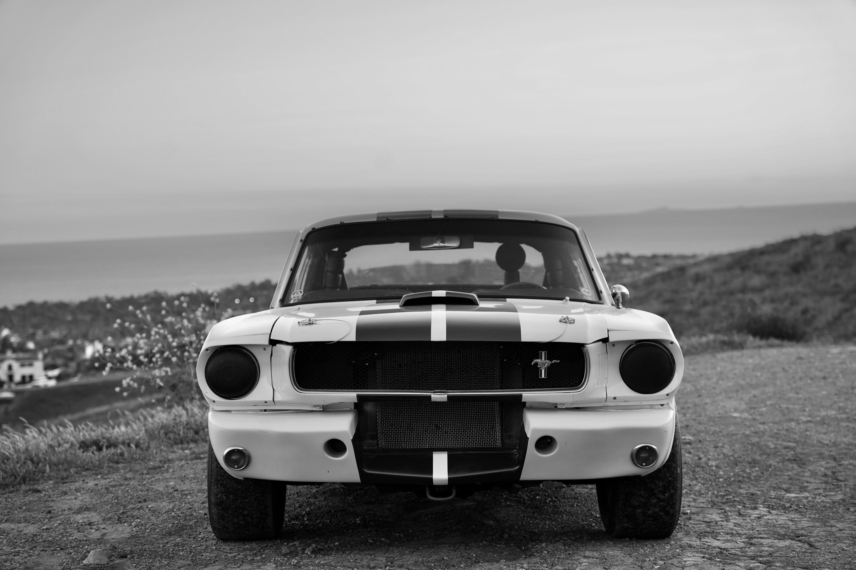 1965 Shelby Mustang GT350R FINE ART PRINT