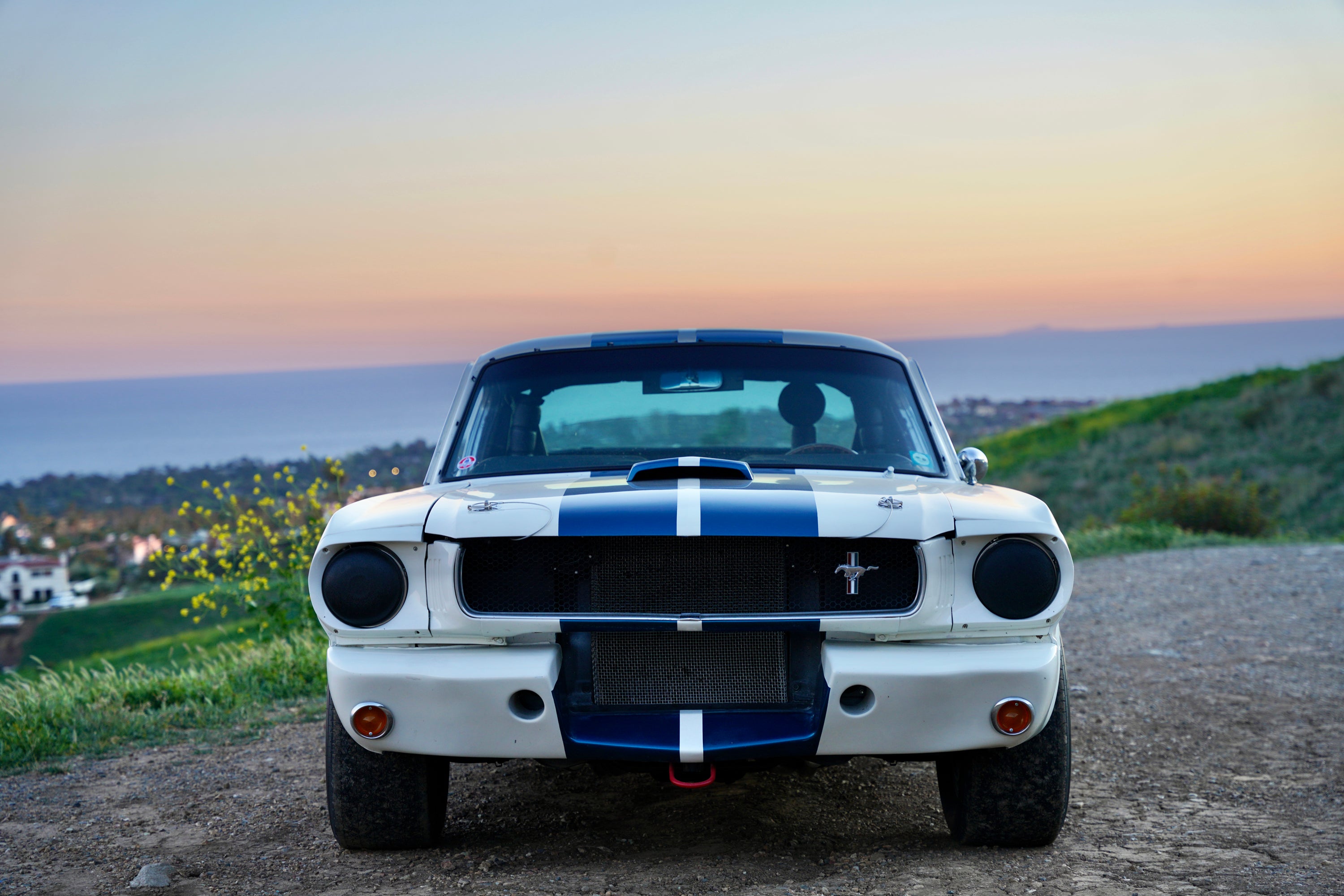 1965 Shelby Mustang GT350R FINE ART PRINT