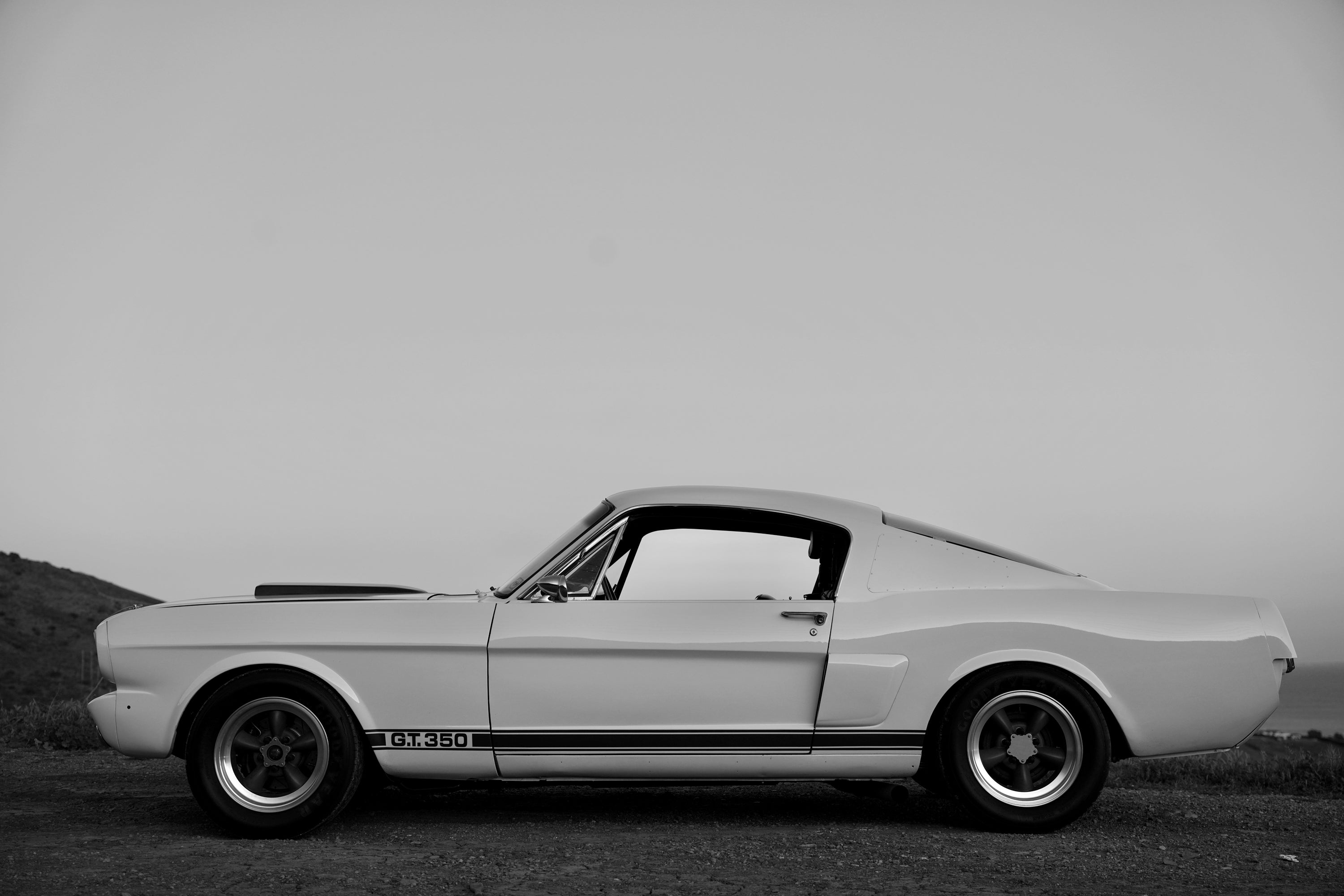 1965 Shelby Mustang GT350R FINE ART PRINT
