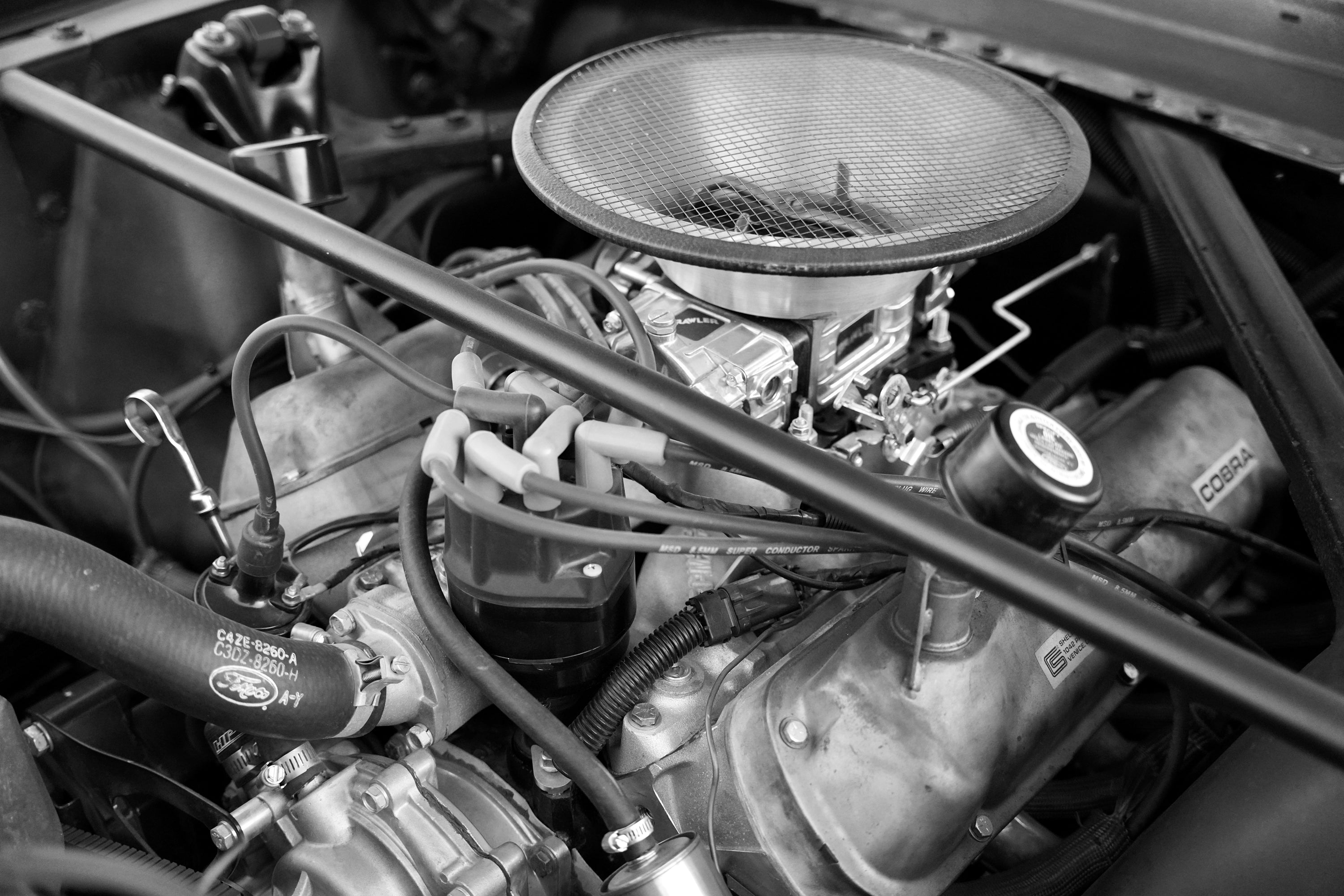 1965 Shelby Mustang GT350R FINE ART PRINT