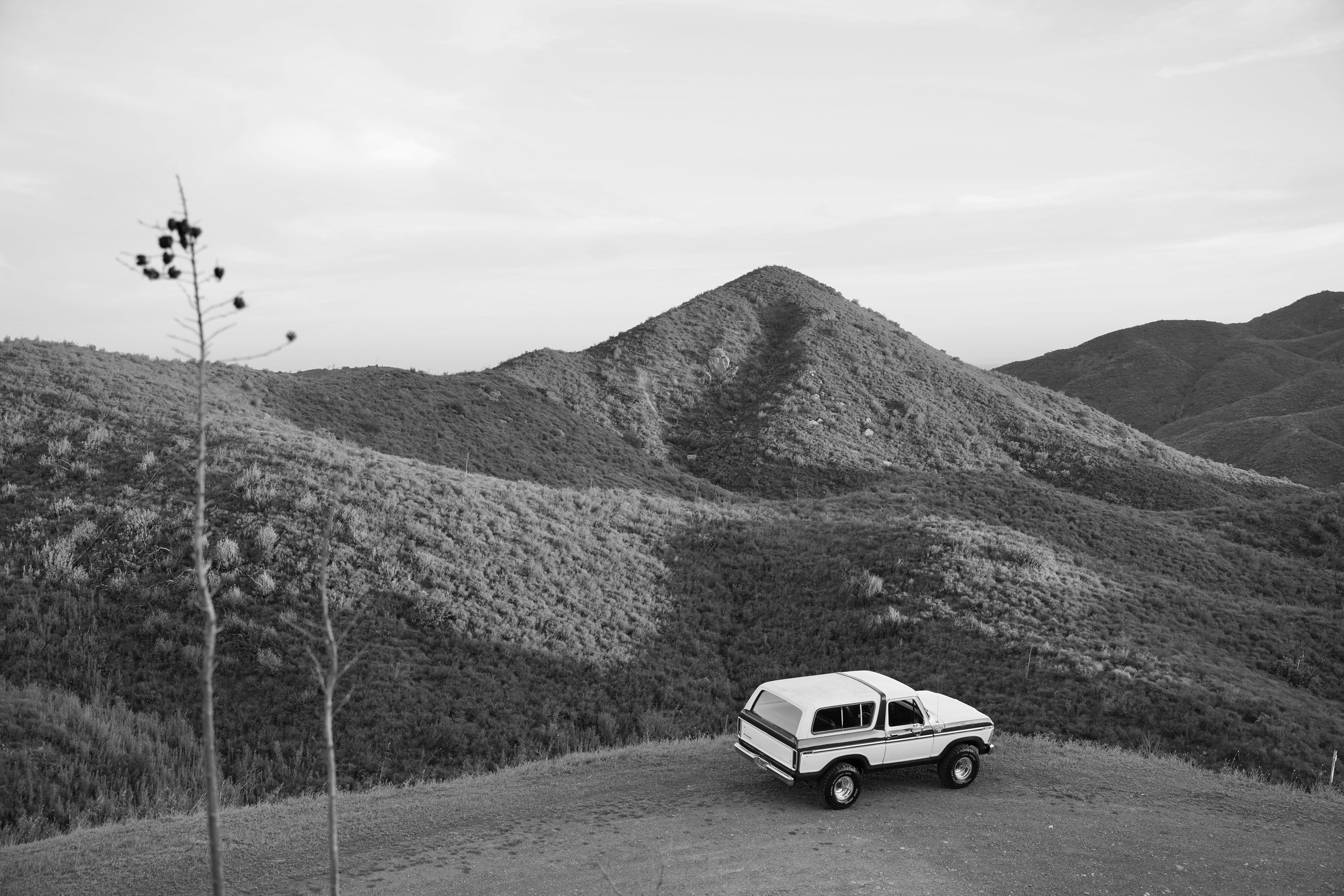 1978 Ford Bronco Dark Brown Metallic FINE ART PRINT