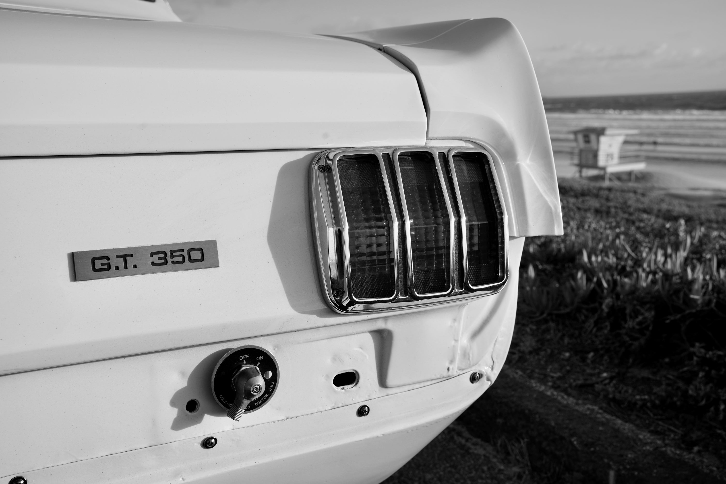 1965 Shelby Mustang GT350R FINE ART PRINT