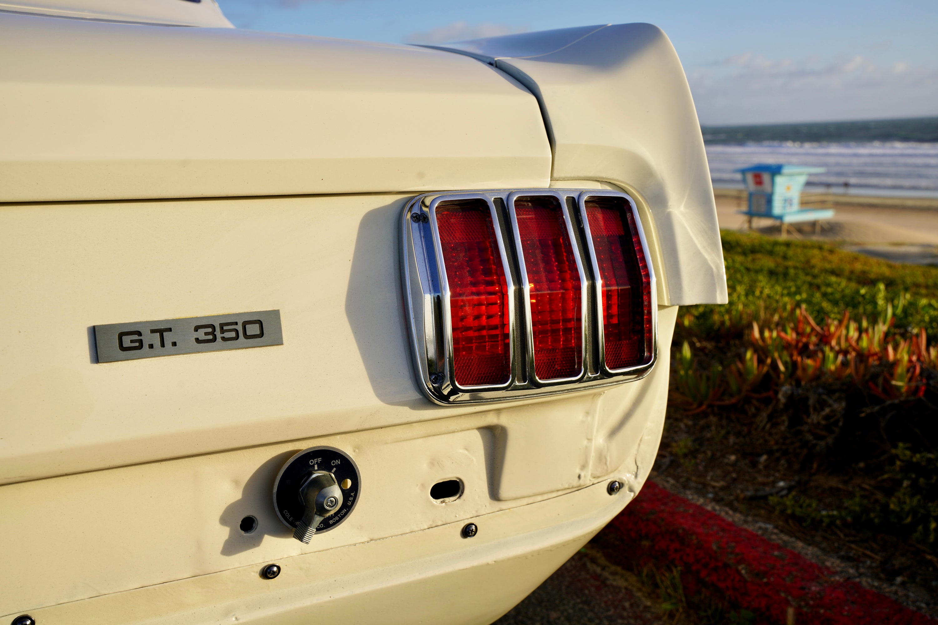 1965 Shelby Mustang GT350R FINE ART PRINT