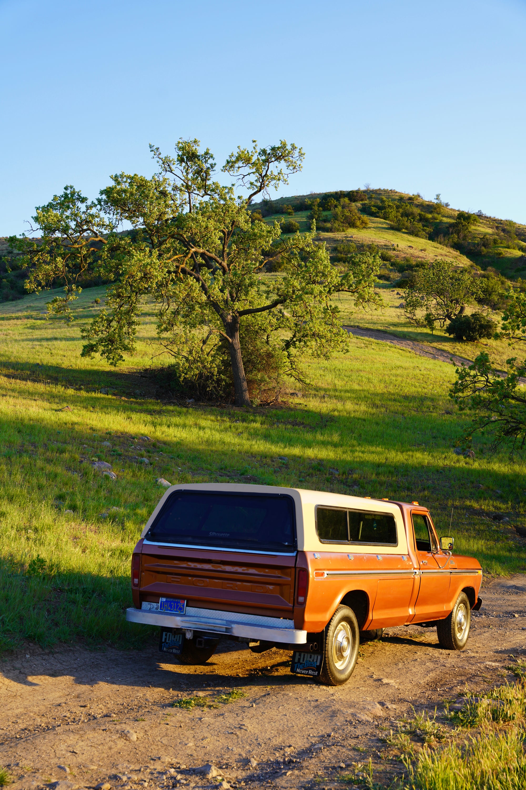 1978 Ford F-350 Ranger Cinnamon FINE ART PRINT