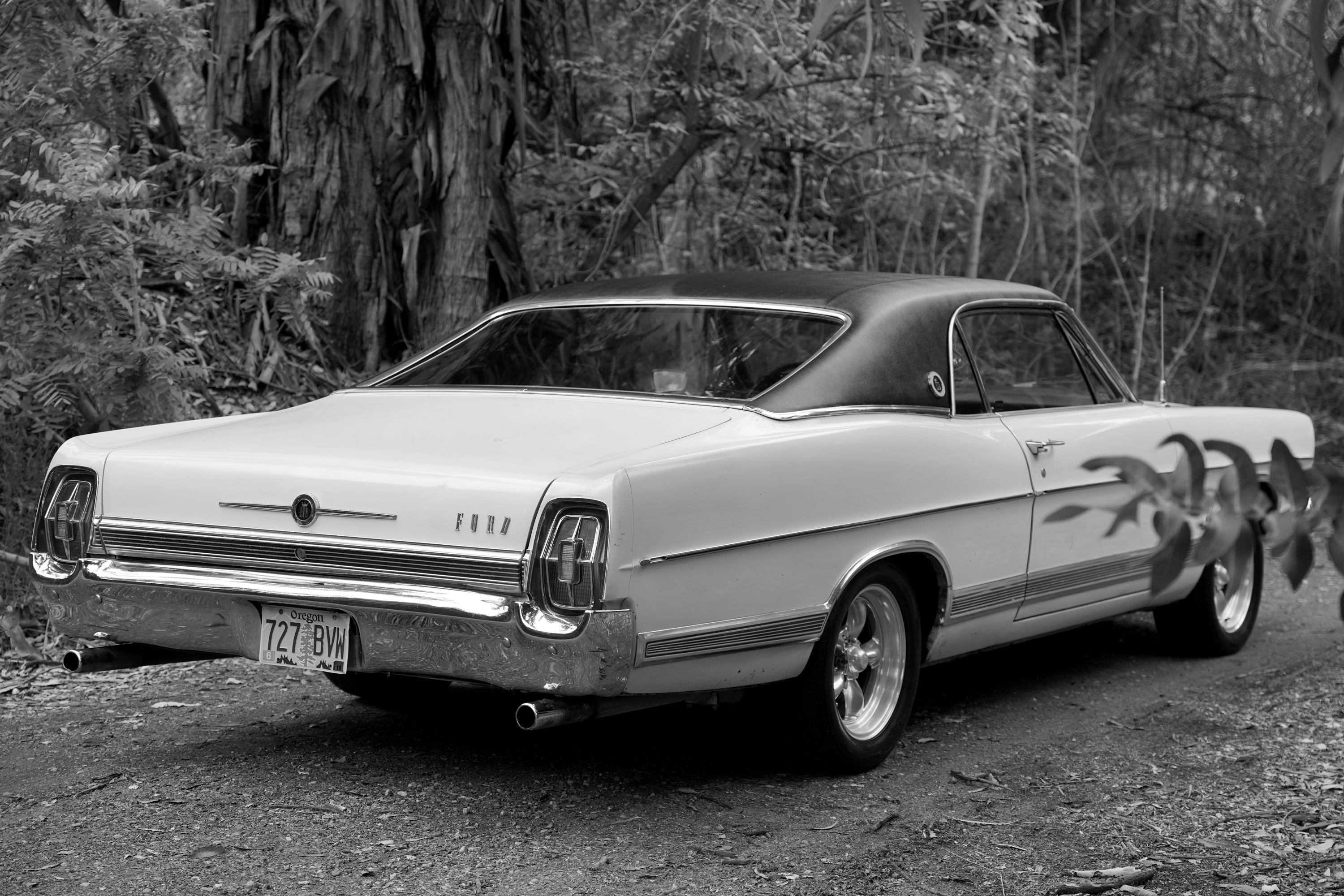 1967 Ford Galaxie LTD Fastback FINE ART PRINT