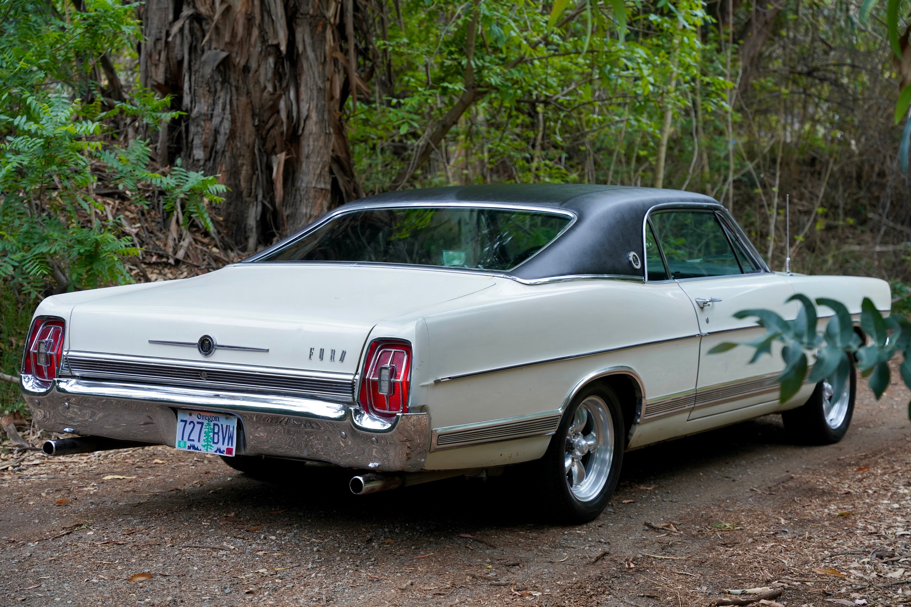 1967 Ford Galaxie LTD Fastback FINE ART PRINT