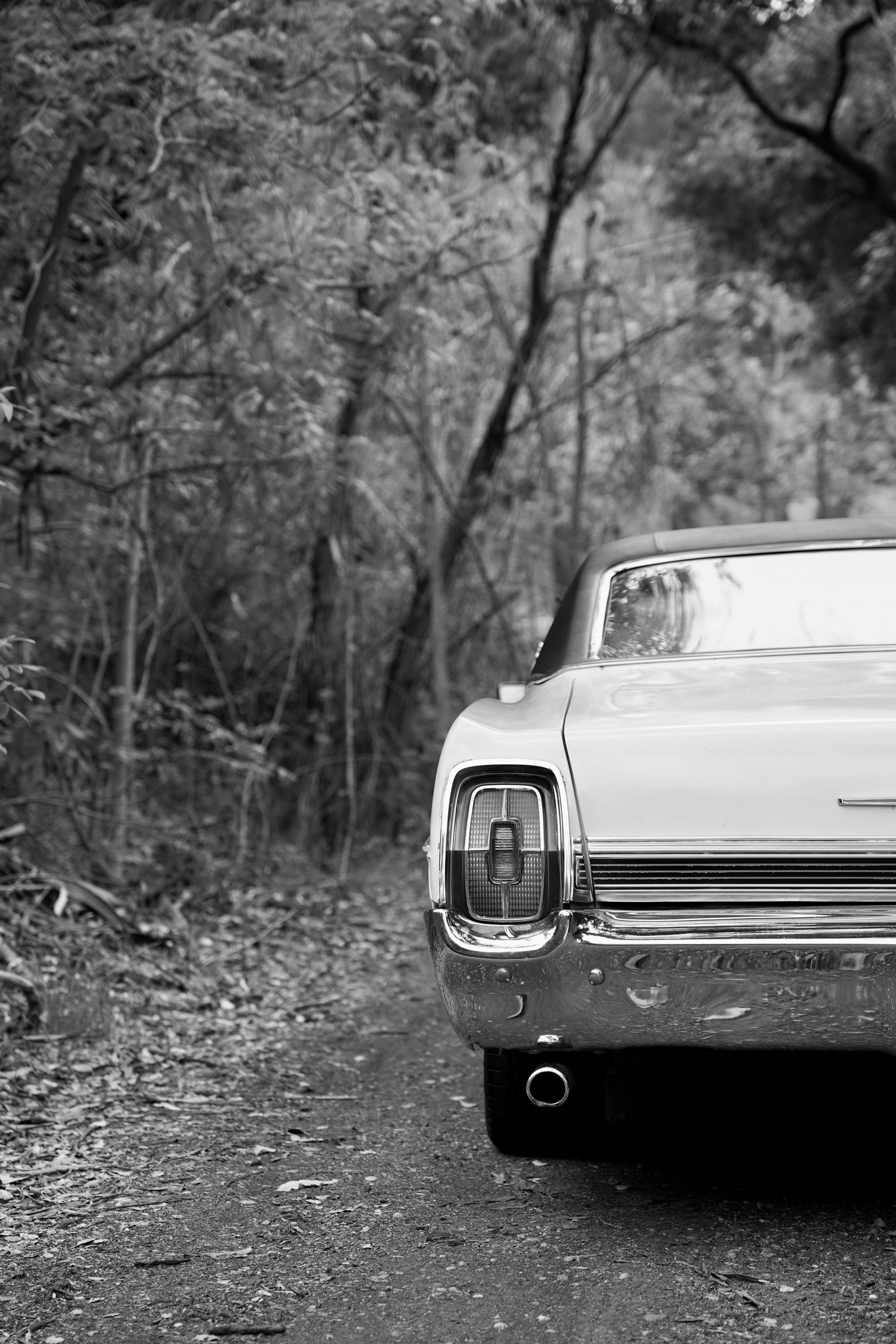 1967 Ford Galaxie LTD Fastback FINE ART PRINT