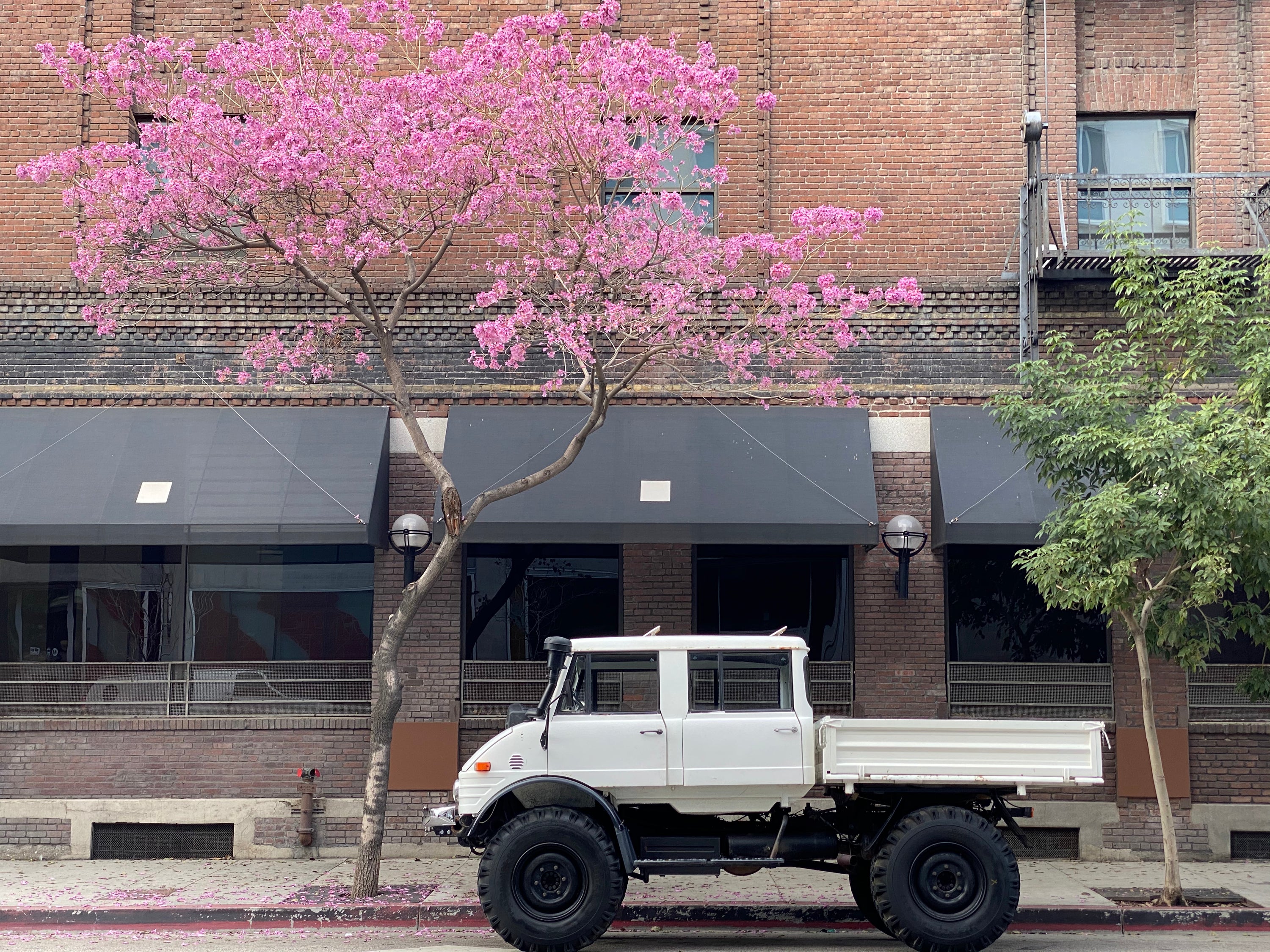 1979 Mercedes-Benz Unimog DOKA White FINE ART PRINT