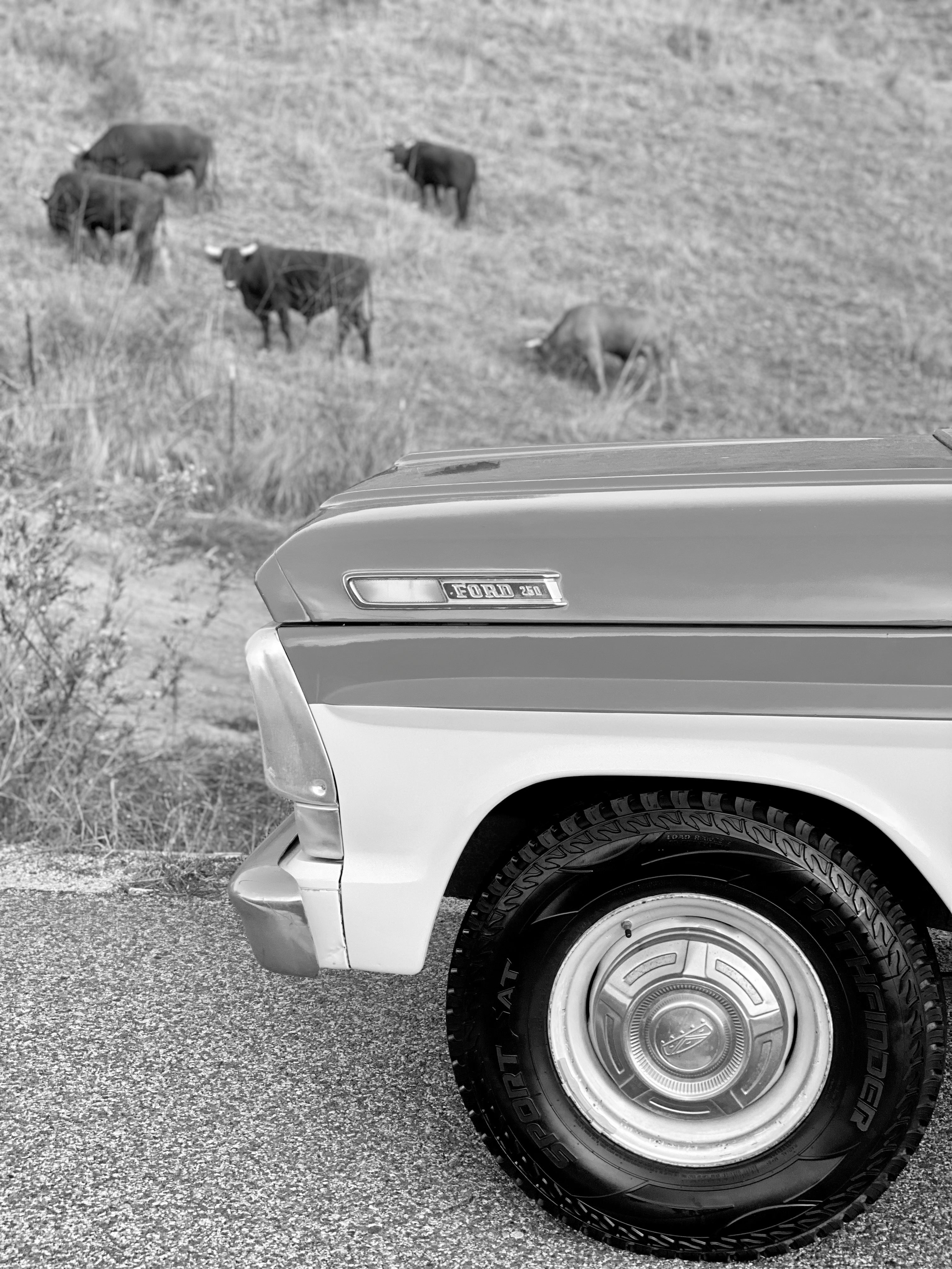 1968 Ford F-250 Crew Cab FINE ART PRINT