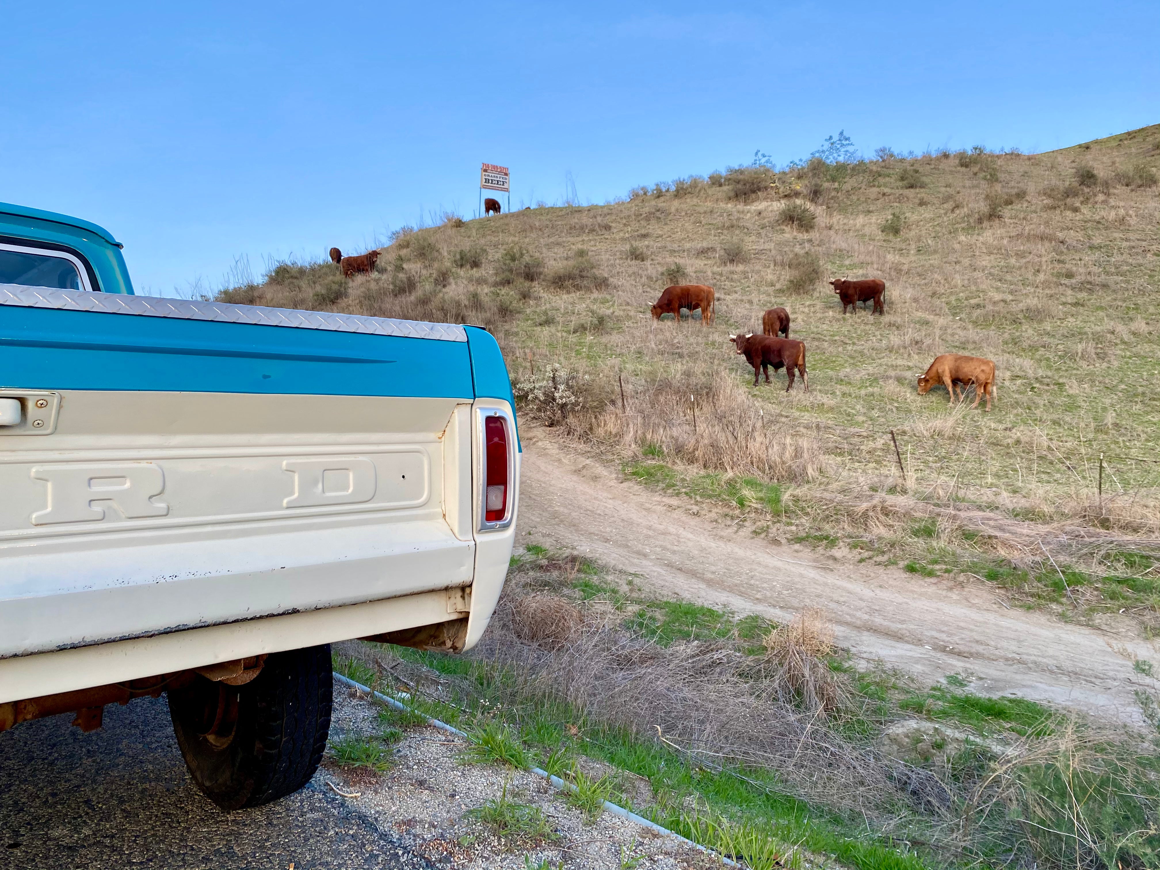 1968 Ford F-250 Crew Cab FINE ART PRINT