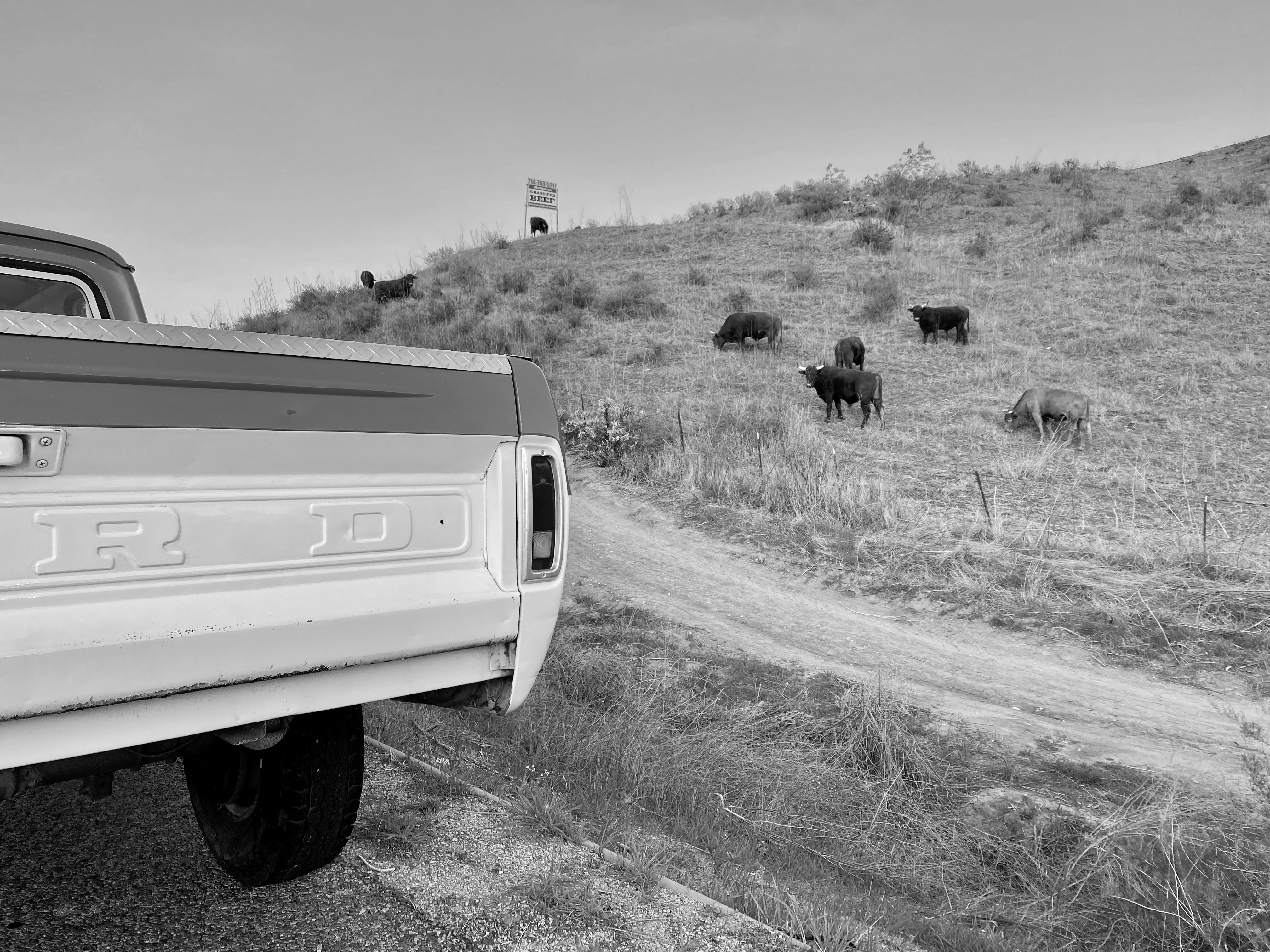 1968 Ford F-250 Crew Cab FINE ART PRINT