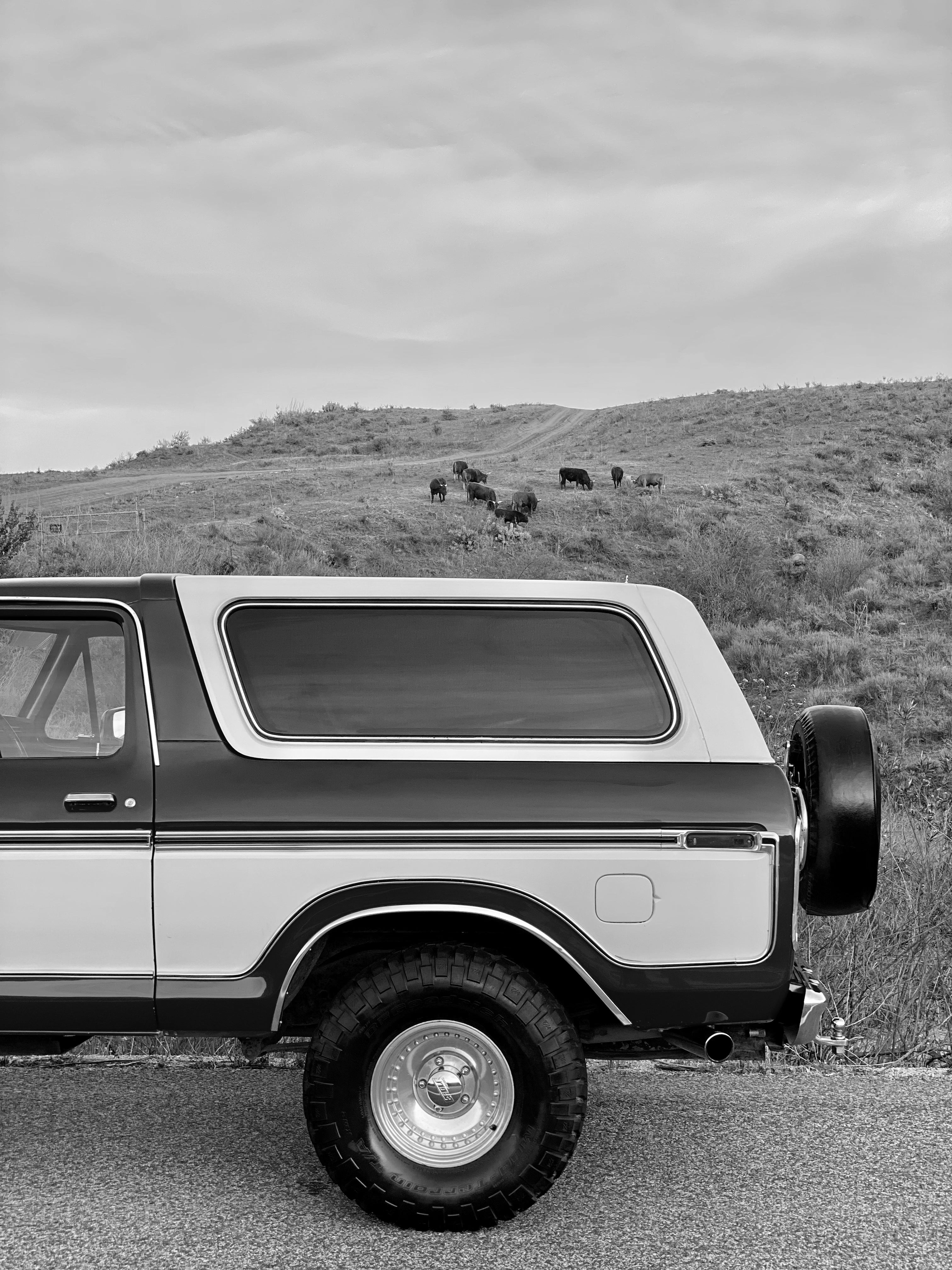 1979 Ford Bronco FINE ART PRINT