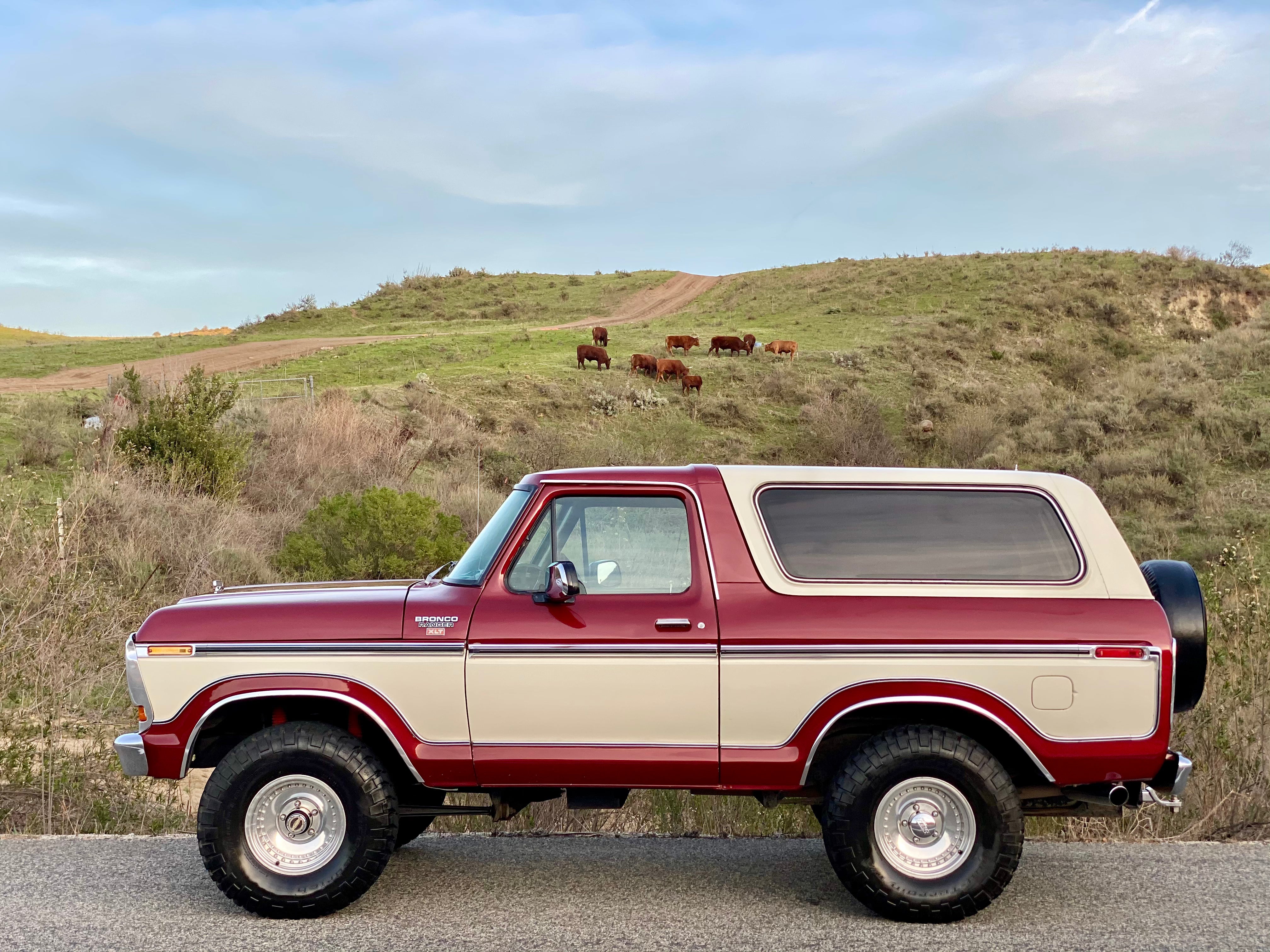 1979 Ford Bronco FINE ART PRINT