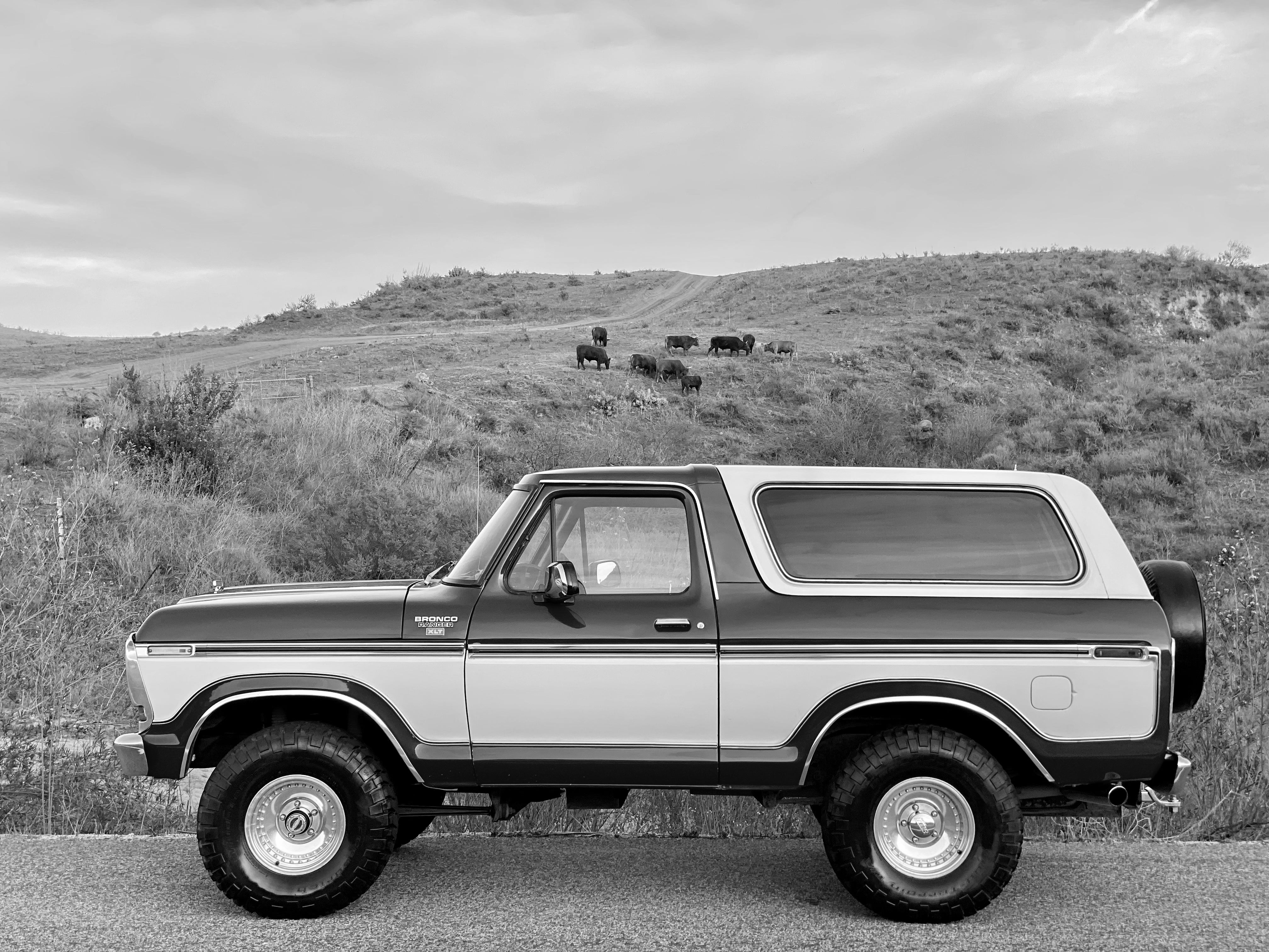 1979 Ford Bronco FINE ART PRINT