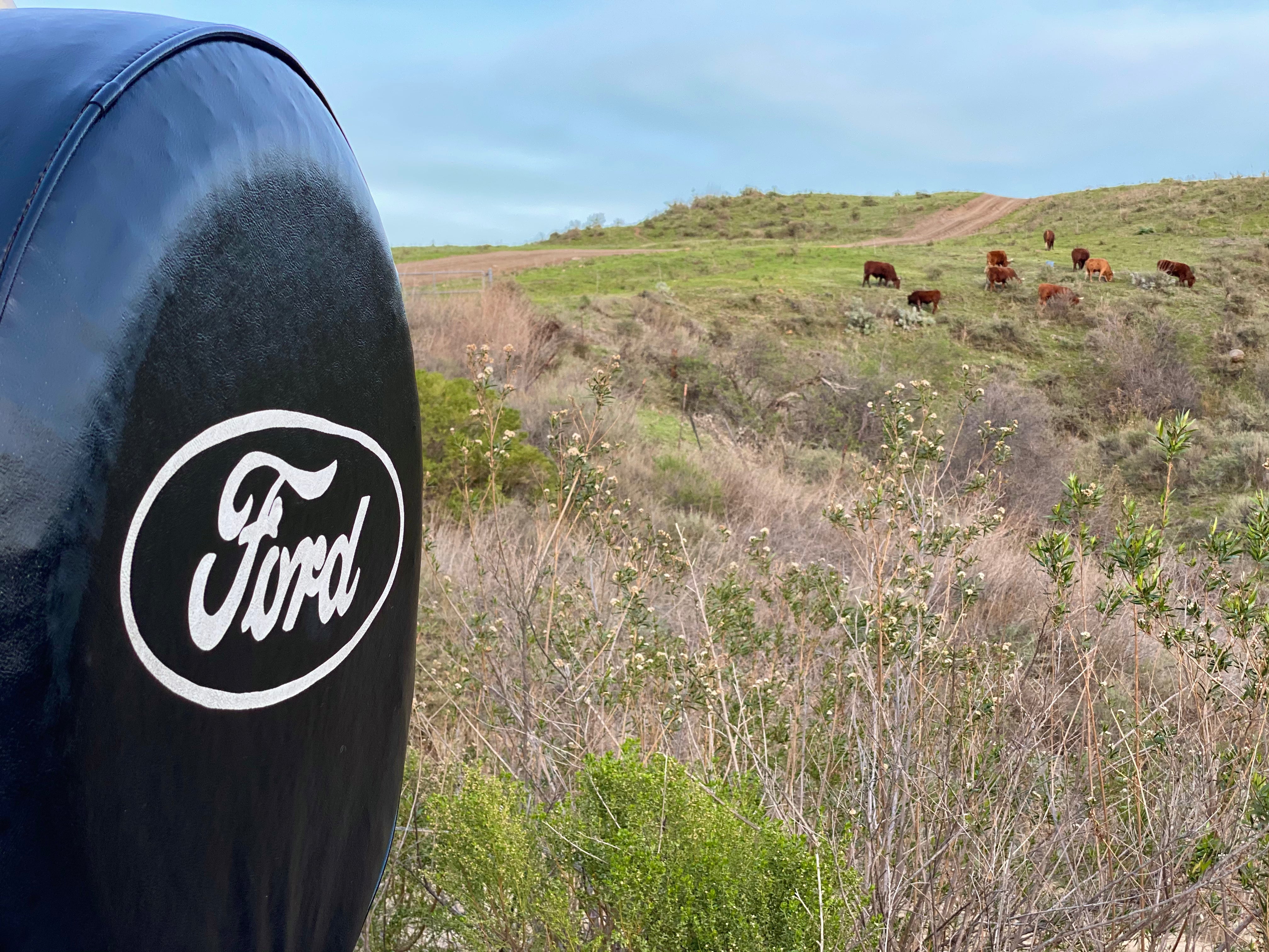 1979 Ford Bronco FINE ART PRINT